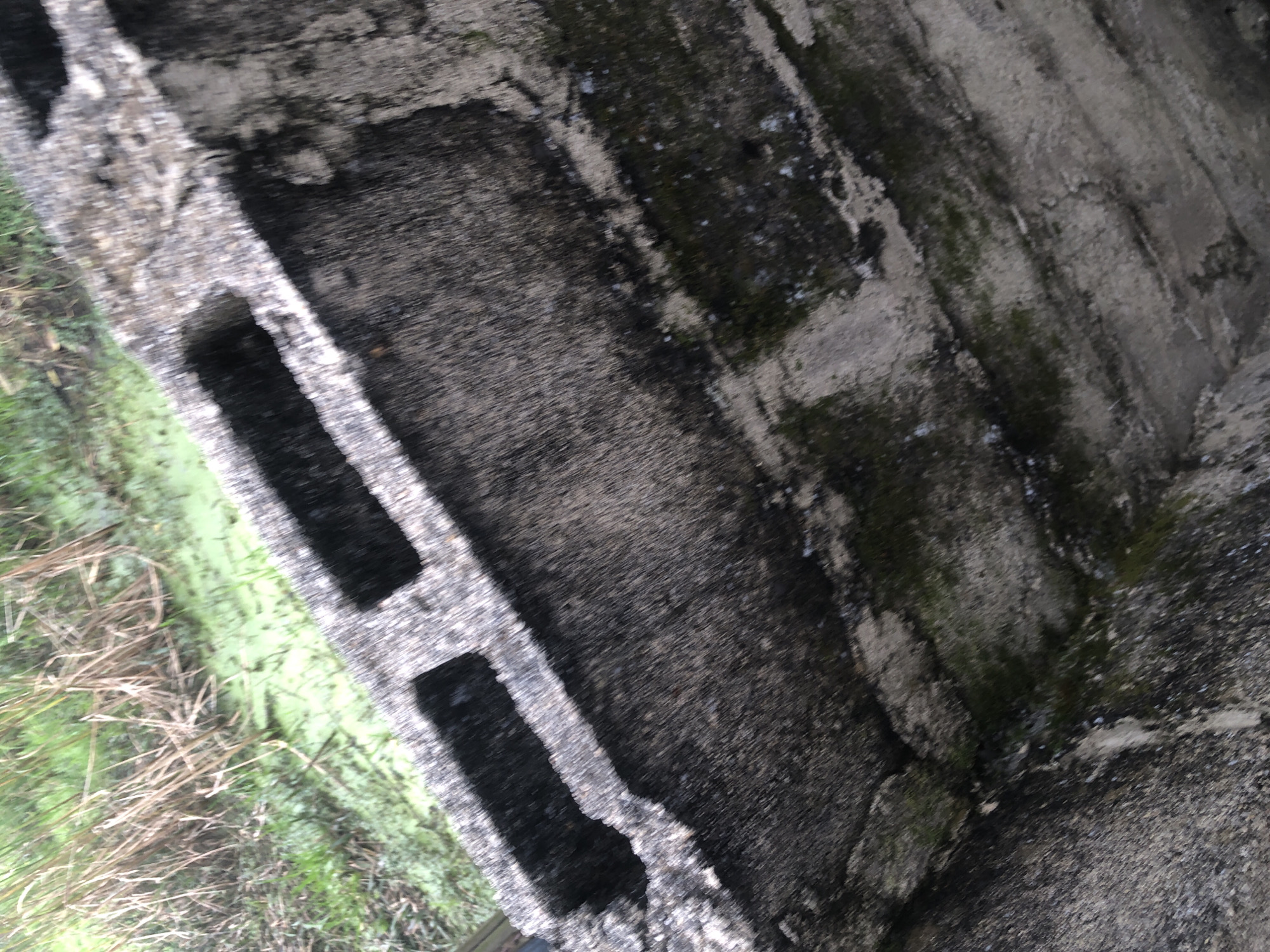 The image shows a close-up, angled view of weathered, grey concrete cinder blocks. The blocks have rectangular openings. The concrete is textured and appears to be covered in patches of dark green moss or algae, especially in the crevices and on the surfaces. The background is out of focus, showing green vegetation and possibly stagnant, green-tinted water. The overall impression is of a damp, neglected, outdoor environment. There are no people, animals, or vehicles visible. The image does not provide any specific information that would indicate its location within the city of Ado, Nigeria.