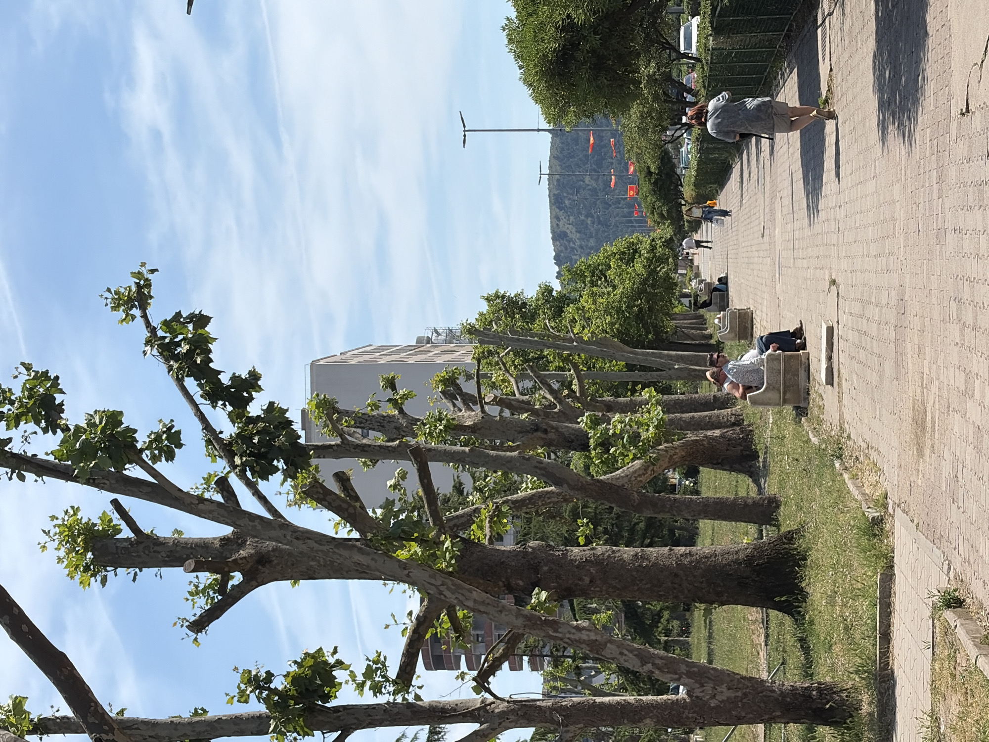 The image depicts a tree-lined promenade in the city of Bar, Montenegro, on a sunny day. Along the right side of the frame, a paved walkway stretches into the distance, with several people strolling or resting on benches. At least three individuals are seen seated on benches, while others walk along the path. A building stands behind the trees to the left, which have been pruned, and a hill can be seen in the background, adorned with orange flags. Streetlights are also visible. The sky is blue with scattered clouds.