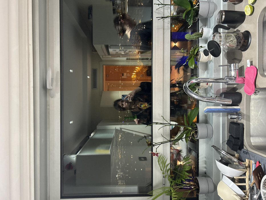 The image, rotated 90 degrees clockwise, presents a domestic interior scene featuring a kitchen area and a window with prominent reflections of the room and an urban exterior at night in Barcelona, Spain.
To the right, a kitchen counter and sink are visible. A stainless steel sink basin is equipped with a modern chrome faucet. Nearby kitchen essentials include a pink scrubbing brush, a blue sharpening stone, black sponges, and a wooden drying rack holding white bowls and various utensils. Along the counter, several potted plants are arranged, including orchids with bare stems and some in bloom, a small cactus, and other green foliage, mostly in grey pots. A black travel mug, a French press coffee maker, and two sliced limes complete the counter display.
A large window or glass panel occupies the left portion of the image. It strongly reflects the room's interior, blending it with the outside view. A person with dark hair is clearly reflected, holding a smartphone and appearing to take a selfie or photograph. Their expression seems neutral or slightly smiling. Further into the reflection, parts of another person's head and shoulders are visible. The reflections also reveal interior architectural details such as a white wall, a rectangular ventilation grate, and what appears to be a kitchen island or cabinetry. Through these reflections, the illuminated cityscape of Barcelona at night is visible, marked by numerous sparkling lights. No discernible text is visible within the image.