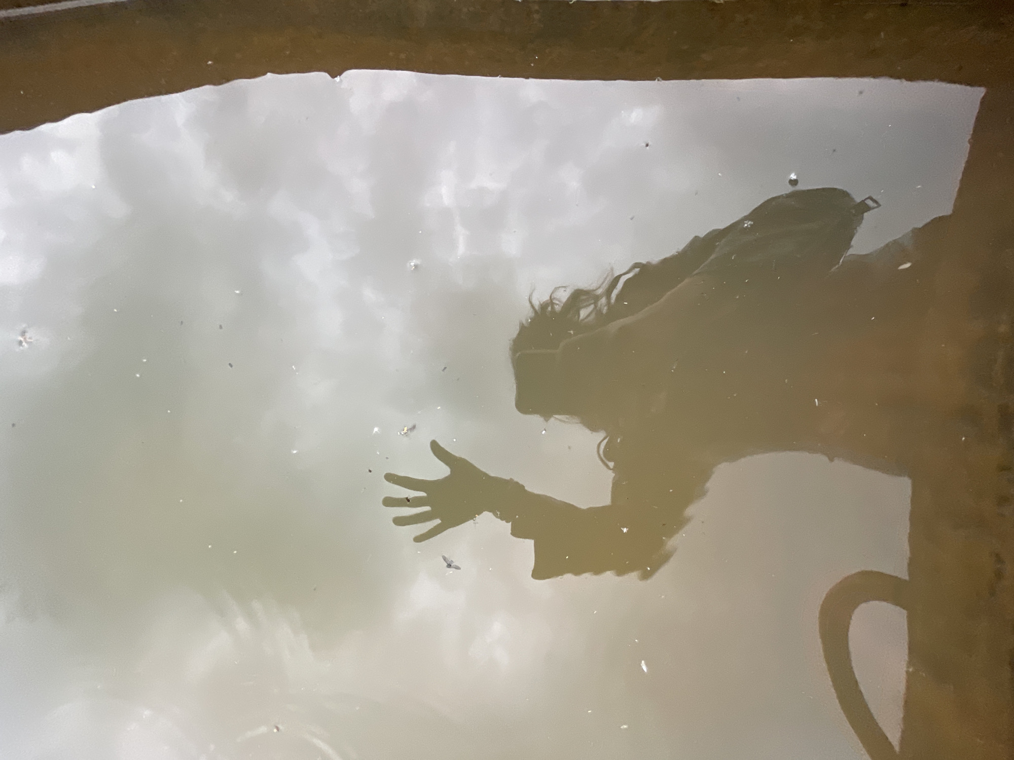 A photograph captures the reflection of a human figure and an overcast sky on a placid body of water. The central subject is the partial reflection of an individual, likely from the waist up, depicted in a warm, desaturated brown silhouette. The figure, characterized by visible long, wavy hair, is seen with their left arm raised, fingers splayed open, positioned towards the upper-center of the frame. The reflected background above the figure's head consists of a cloudy, diffuse white and grey sky. The water's surface exhibits subtle ripples and numerous tiny, bright particulate specks. A vertical, dark brown structure is reflected along the right edge of the frame, and a curved, dark brown object, possibly a pipe or handle, is reflected at the bottom-left corner. The scene is located in the city of Unknown, Unknown.