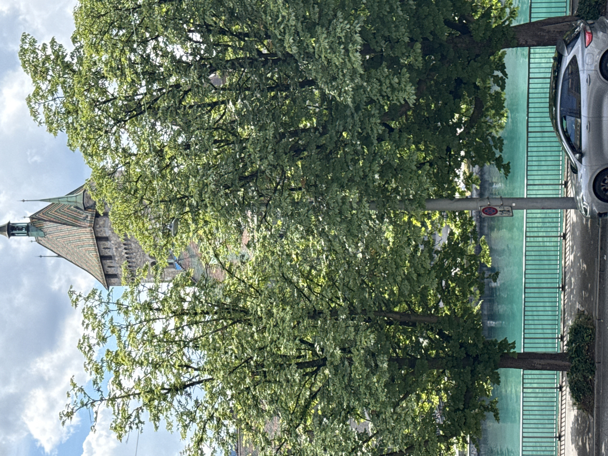 The image depicts a view from a street overlooking a body of water, likely a river or canal, in Zurich, Switzerland. In the foreground, two large trees with lush green foliage dominate the scene, casting shadows on the paved street and sidewalk below. A light-colored car is parked on the side of the road. A turquoise metal fence runs along the edge of the water. In the background, a historic building with a distinctive tiled roof and a tall tower is visible behind the trees, suggesting a well-known landmark. The sky is partly cloudy with patches of blue. The overall impression is of a sunny day in an urban environment with a mix of nature and architecture.