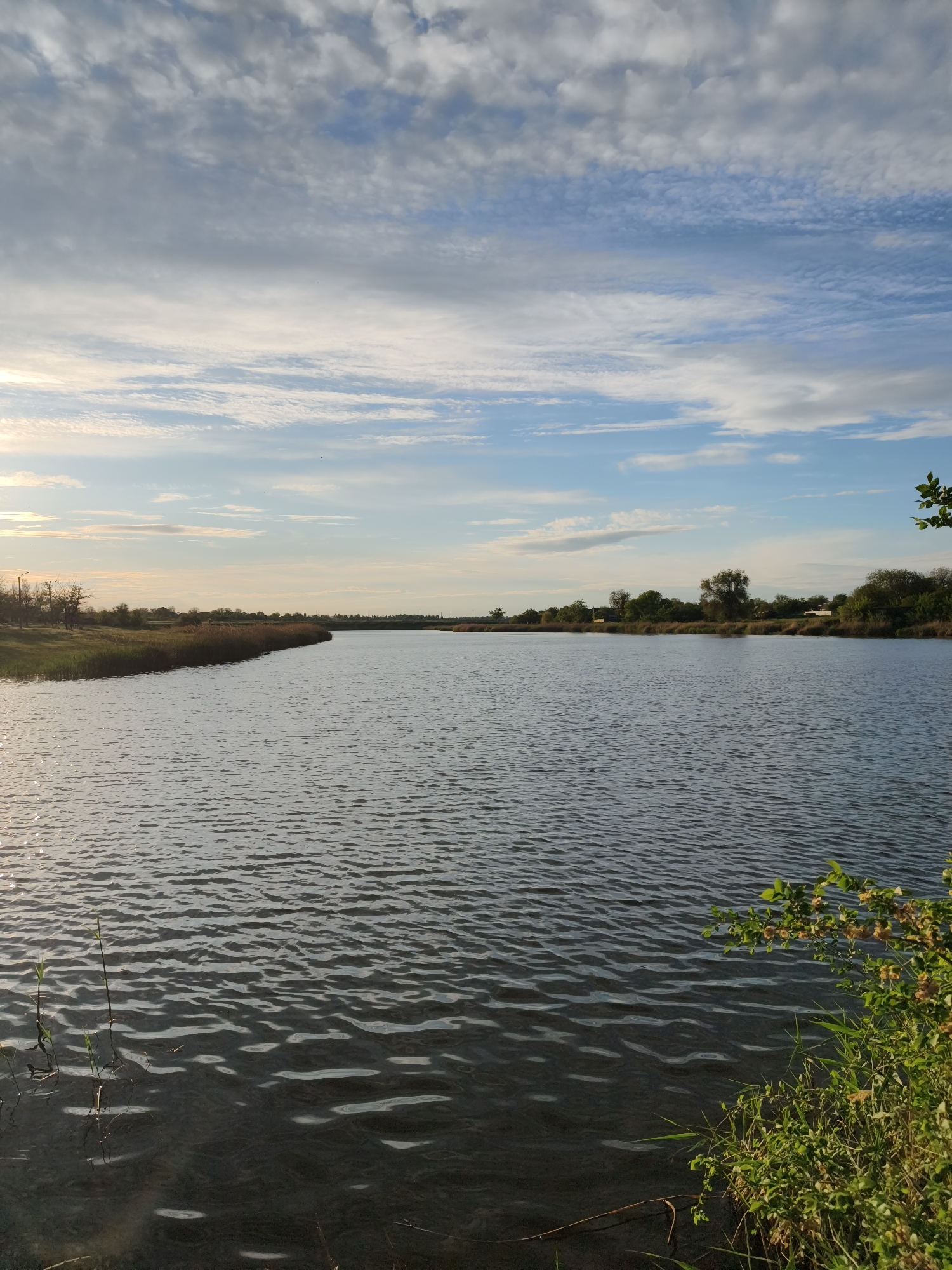 The image depicts a tranquil lake landscape in Shyroka Dacha, Ukraine. The lake surface is rippled with small waves, reflecting the sky. The shoreline is lined with vegetation, including reeds, grasses, and trees. The sky is partly cloudy with blue patches. The overall lighting suggests either early morning or late afternoon. No people are visible in the image.
