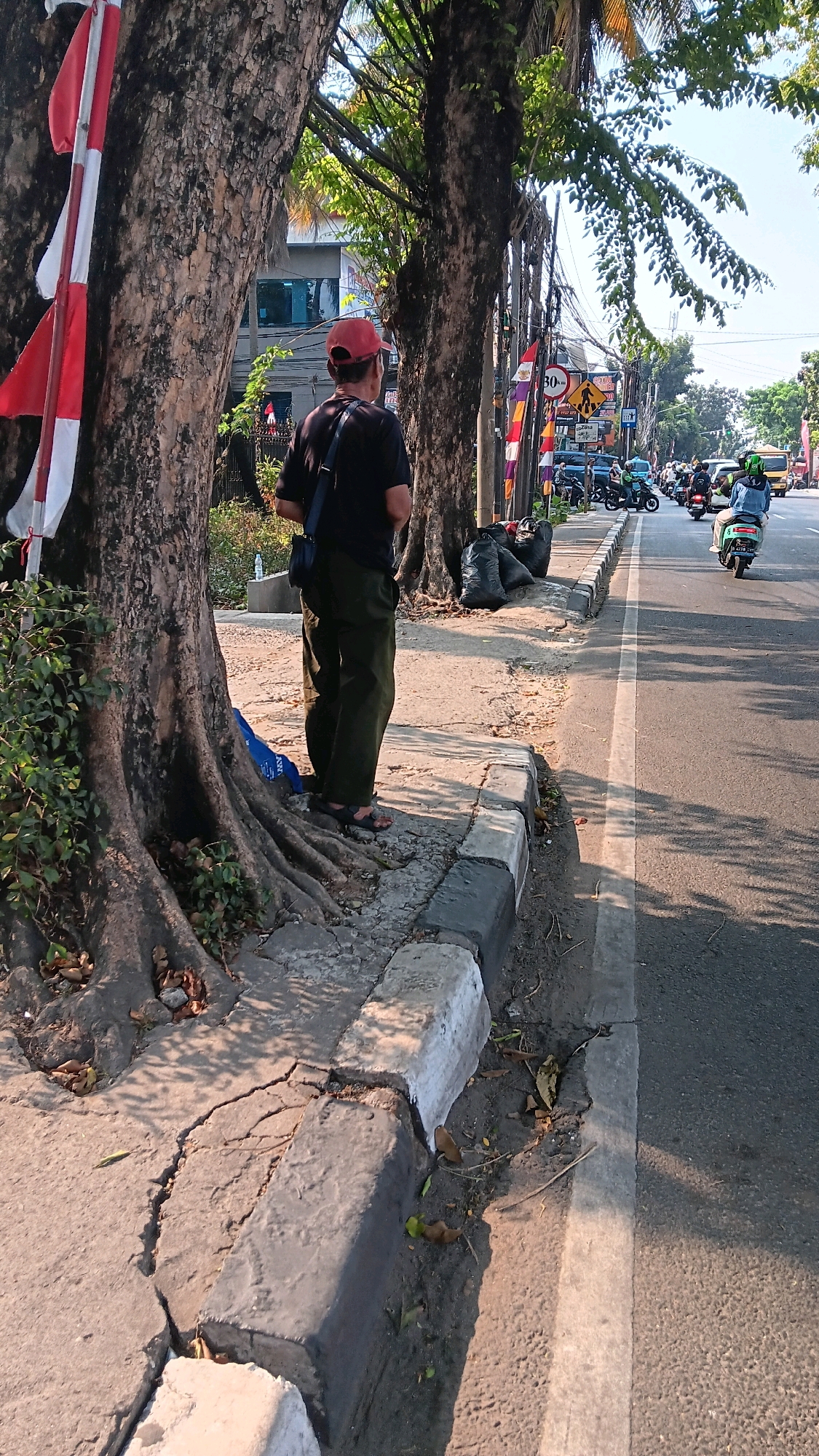 A medium-shot, eye-level, full-color, outdoor photograph captures a man in a red cap and dark shirt standing on a cracked concrete sidewalk. He is facing away from the camera, looking towards a street with moderate traffic. The sidewalk is bordered by a curb with a black and white painted stripe and is situated at the base of a large tree with exposed roots. Adjacent to the tree are several black garbage bags. Further down the sidewalk, colorful Indonesian flags on poles are visible. The street is asphalt with a white line marking the lane. Several motorcycles and a few cars are present on the street. The environment is sunny with shadows cast on the sidewalk. The scene appears to be on a street in South Jakarta, Indonesia, as suggested by the Indonesian flags.