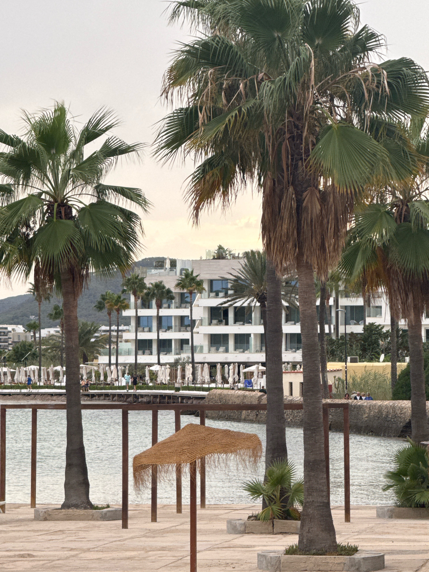 The image depicts a tropical beachfront scene in Eivissa, Spain, likely during the daytime under an overcast sky. In the foreground, a sandy area is dotted with concrete planters containing small green plants and the bases of several tall palm trees. Two of these palm trees are prominent in the foreground, their trunks thick and textured, with lush green fronds reaching upwards. A straw umbrella with fringed edges is tilted on a wooden frame in the mid-ground, suggesting a relaxation area.
Beyond the immediate sandy area, a body of calm, light-colored water is visible, separated by a wooden boardwalk structure. Along this boardwalk, a row of white umbrellas and chairs is set up, indicating a beachside service or seating area. Several people, appearing as small figures in the distance, are visible walking or sitting along this boardwalk.
In the background, a modern white hotel building with multiple stories and large windows dominates the landscape. The hotel is situated on a gentle slope leading up to a mountainous or hilly terrain. Other buildings and scattered palm trees are also visible in the mid-to-background, contributing to the resort-like atmosphere. The overall impression is one of a serene, possibly off-season, coastal resort.