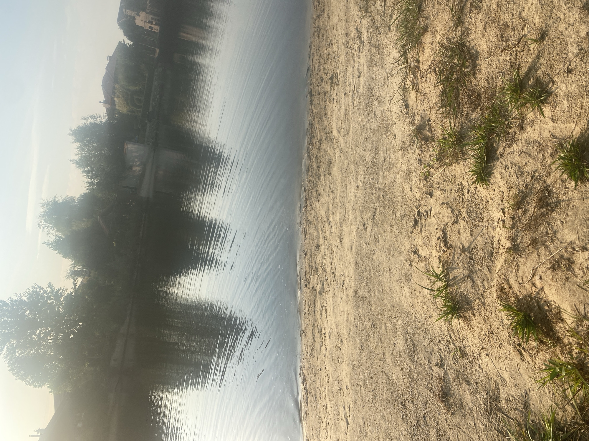 The image depicts a sandy embankment leading to a calm body of water, likely a river or lake, on a sunny day. The water reflects the trees and buildings on the opposite bank, suggesting an inhabited area. A few patches of grass are growing sparsely on the sand. The overall impression is a tranquil, natural setting within a developed area, consistent with a park or recreational zone along the Kyiv Reservoir in Novi Petrivtsi, Ukraine. No people are visible in the frame.