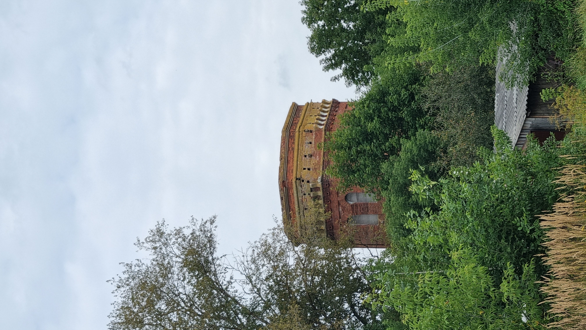 In the city of Vysokoe, Russia, an old, red brick water tower stands partially obscured by dense green foliage. The tower, with its octagonal shape and arched windows, appears weathered, with patches of moss or lichen on its upper sections. The sky above is overcast with clouds. In the foreground, tall, dry grasses and the roof of a small wooden structure are visible, adding to the rustic and somewhat overgrown environment of the scene.