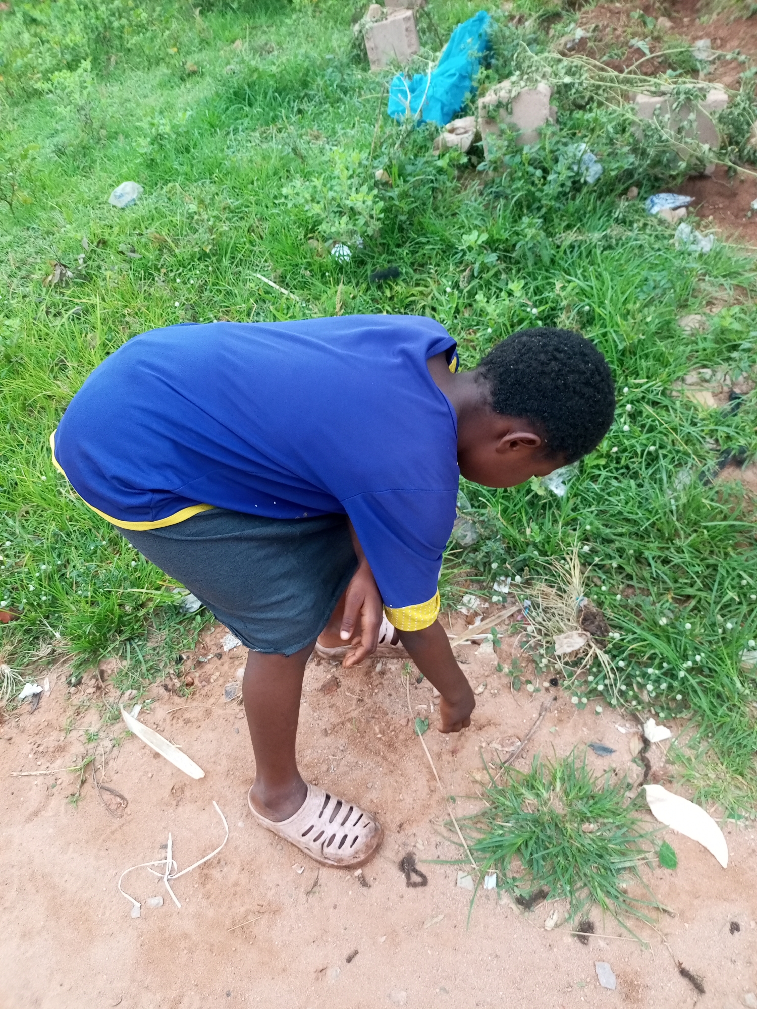 A young person, dressed in a blue t-shirt with yellow trim and dark shorts, is crouched down in an outdoor environment. The ground is a mix of dirt and sparse green grass. The person's right hand is reaching towards the ground, appearing to examine or interact with something in the dirt. In the background, there is more dense green vegetation, some light-colored debris, and what appear to be concrete blocks and a piece of blue plastic sheeting. The overall scene suggests a rural or undeveloped area, potentially a vacant lot or the outskirts of a settlement. This location is consistent with the outskirts of Tempure, Nigeria, a region characterized by such landscapes.