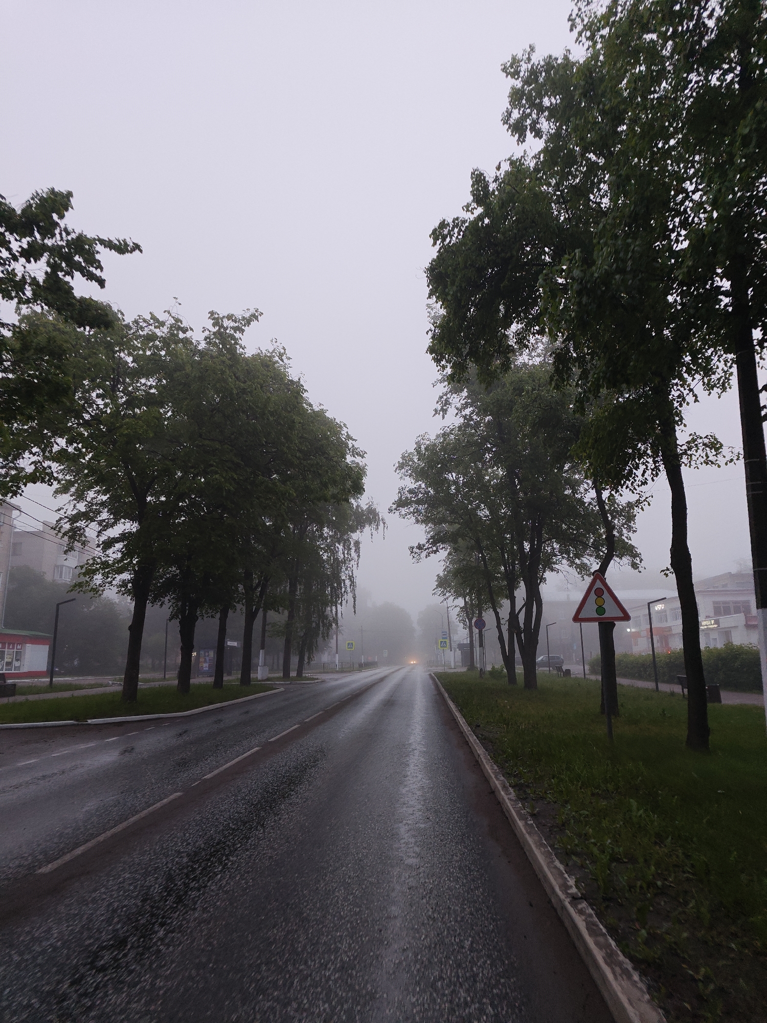 The image depicts a quiet, fog-shrouded street scene in Chaikovsky, Russia, likely during an early morning or late evening. A wet asphalt road, marked with white dashed and solid lines, stretches into the distance before disappearing into dense mist. The road's surface reflects the muted light, indicating recent rain or heavy dew.
Both sides of the street are lined with rows of mature trees, their dark green foliage prominent against the pale, overcast, and foggy sky. On the left, partially obscured by trees and fog, are multi-story buildings, including a red and white kiosk with the Cyrillic text "КРАСНОЕ И БЕЛОЕ" (Krasnoye i Beloye), indicating a liquor store. A yellow diamond-shaped pedestrian crossing sign is also visible on the left.
On the right side of the road, a grassy verge with some weeds separates the street from a sidewalk and another line of trees. A notable object here is a triangular warning sign with a red border, depicting a vertical traffic light showing red, yellow, and green lights. Further down this side, faint outlines of buildings and possibly another sign with blurred text like "Студия" are visible through the fog. Streetlights and benches are also subtly present along the right-hand side.
In the far distance, the distinct yellow glow of an approaching vehicle's headlights is visible, piercing through the heavy fog. No people are present, contributing to the serene, slightly eerie, and tranquil atmosphere of the scene.