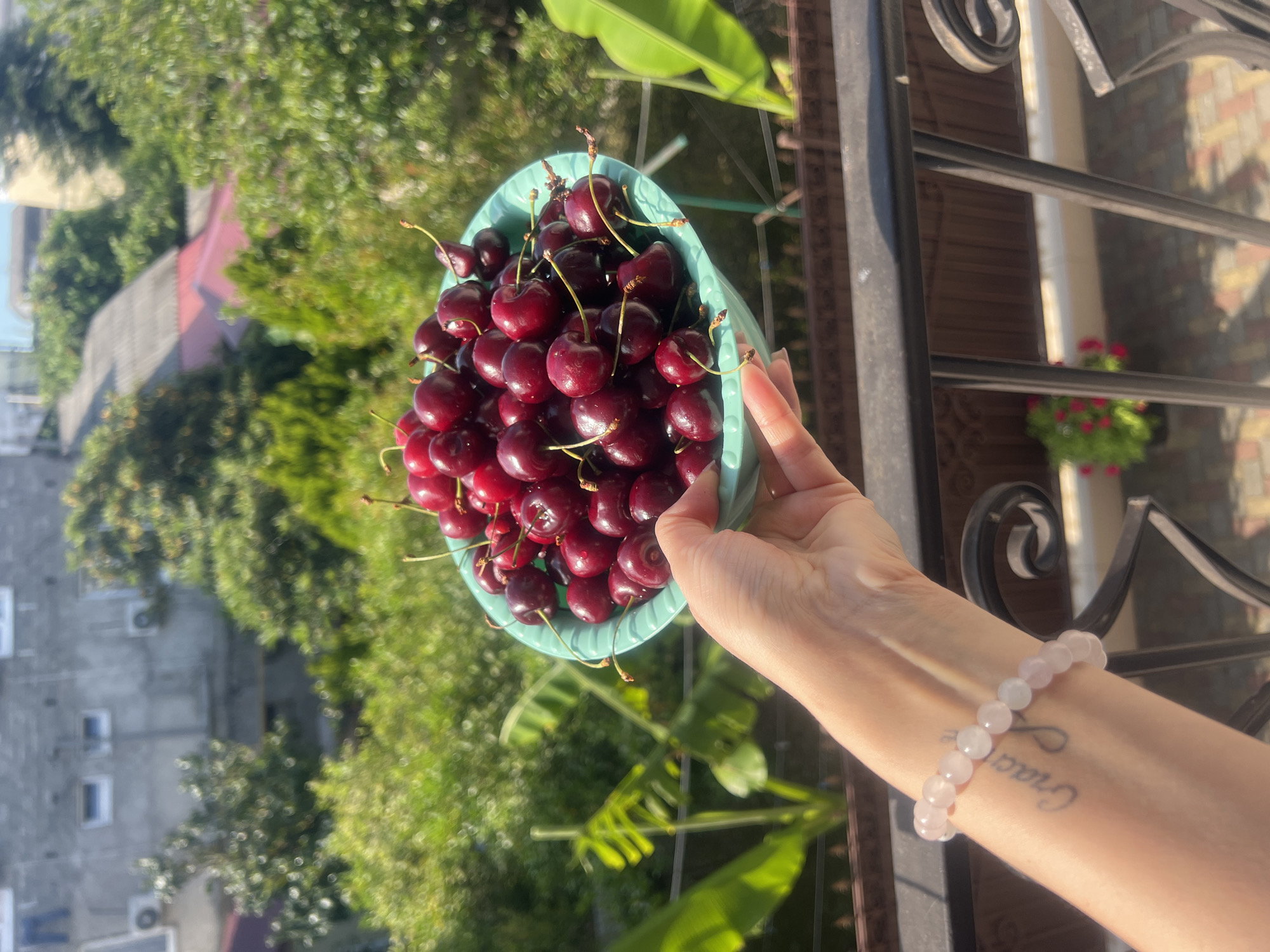 A person's hand, adorned with a light pink beaded bracelet, holds a teal bowl overflowing with dark red cherries. The hand has a tattoo of the word "Grace" on the inner wrist. In the background, lush green foliage and trees are visible, along with the roofs of buildings and what appears to be a balcony railing. The scene suggests an outdoor setting, possibly on a balcony or patio.