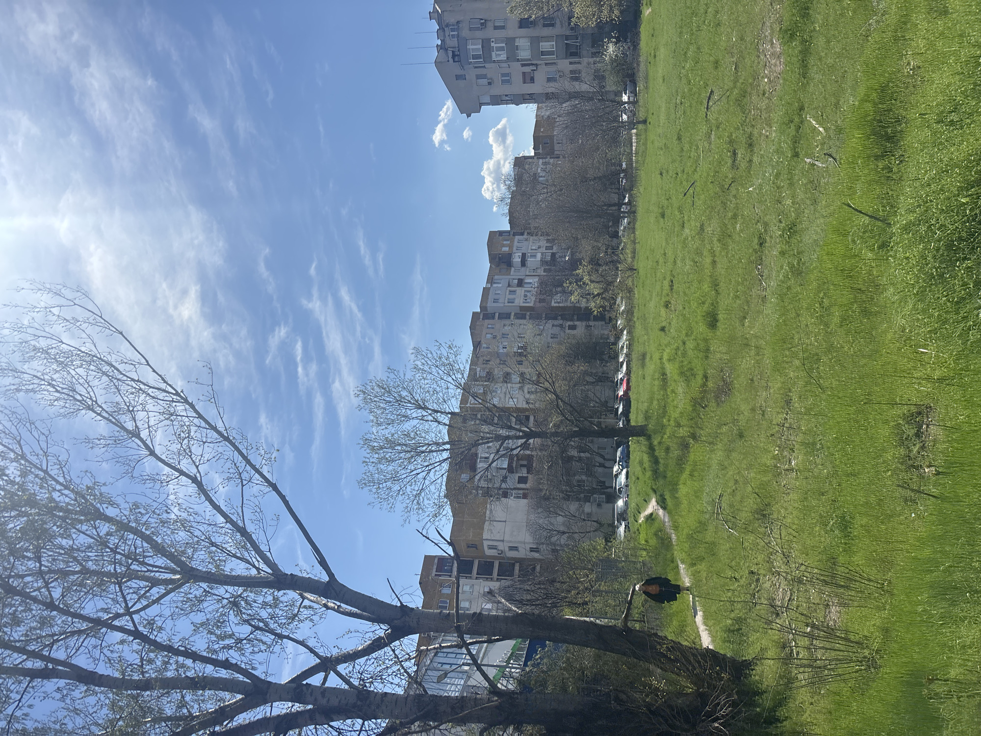 The image captures a view of an urban environment in Plovdiv, Bulgaria. In the foreground, a sparsely branched tree frames the scene with a clear blue sky overhead marked by scattered cirrus clouds. Adjacent to the tree is a large, grassy area of varying shades of green. A dirt path bisects the grass area, leading toward a row of Soviet-era apartment buildings in the midground. Cars are parked adjacent to the apartment buildings. A single person in a dark jacket walks on the dirt path.