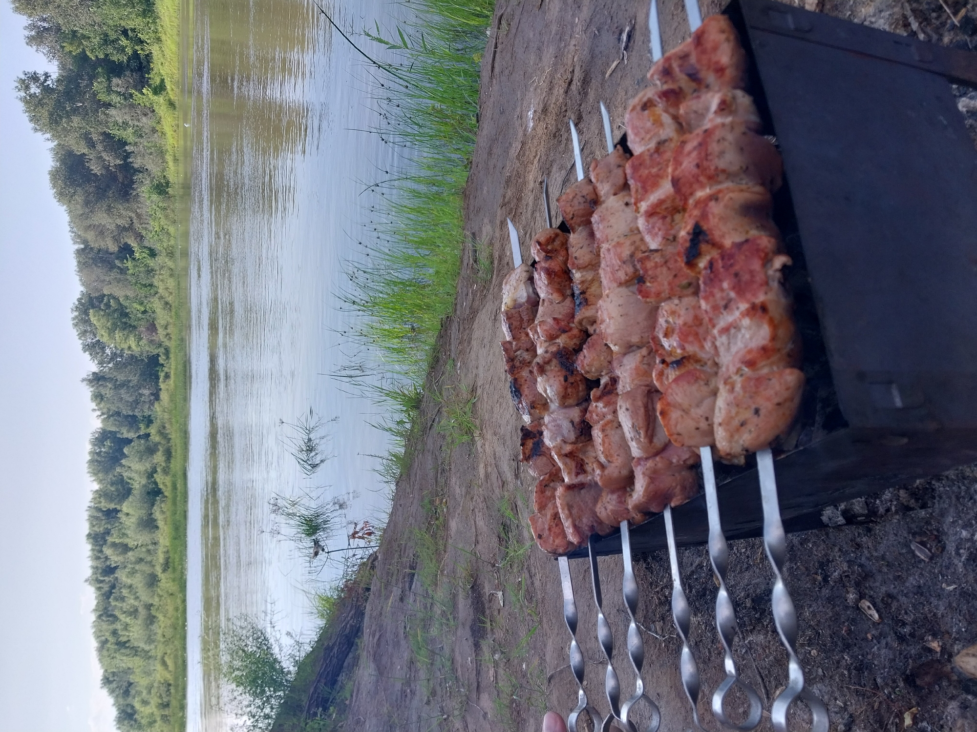 This is a medium shot, eye-level, outdoor photograph of shashlik being grilled on a brazier next to a river. The shashlik is skewered on metal rods and is mostly cooked, with some pieces showing charring. The brazier is dark gray and appears to be made of metal. The ground in the foreground is sandy and covered with some dry leaves and debris. Beyond the ground, there is a river with calm water. The riverbank on the opposite side is lined with lush green trees and vegetation. The sky is a pale blue, indicating a daytime scene. There are no people visible in the image, but a hand is partially visible on the left side, holding one of the skewers. The location is the bank of a river in Chkalov, Russia.