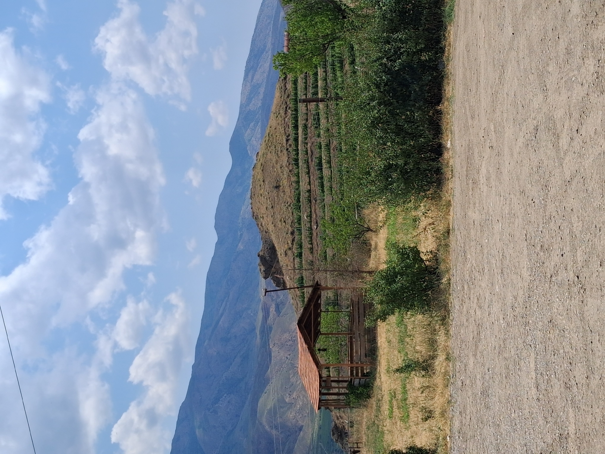 The image depicts a scenic view in the vicinity of Yeghegnadzor, Armenia, featuring a rural landscape under a partly cloudy sky. In the foreground, a dirt path or road occupies the bottom portion of the frame. To the left, a rustic wooden gazebo with a red tiled roof stands amidst dry, yellowed grass and scattered green bushes. Behind the gazebo and to the right, terraced fields, likely vineyards, cover the side of a gently sloping hill, which is dotted with sparse vegetation. Further in the background, large, layered mountains dominate the horizon, their slopes showing signs of vegetation and rocky outcrops. The overall scene conveys a sense of tranquility and a connection to nature in a mountainous region.