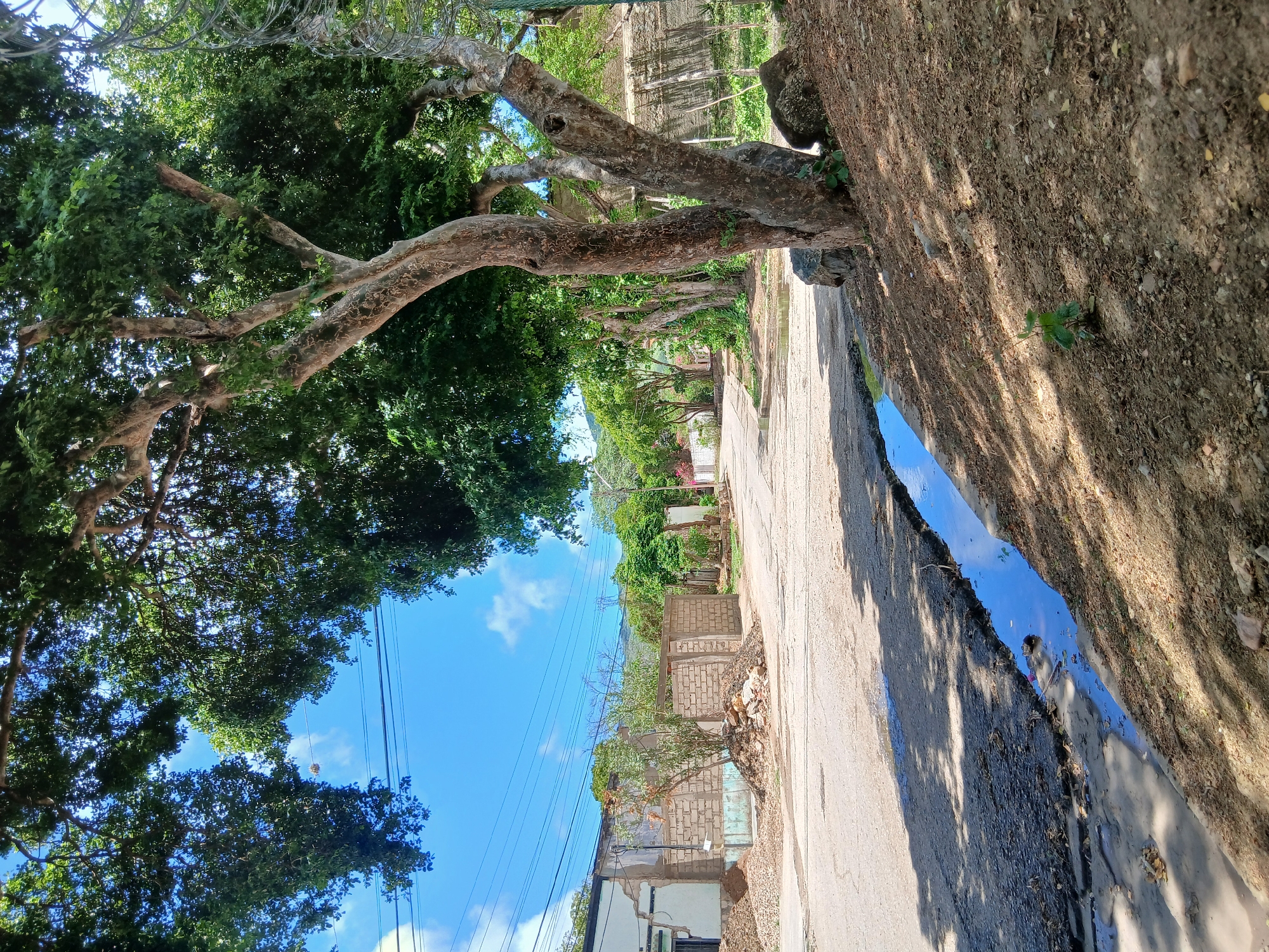 The image depicts a street scene in Santa Ana, Venezuela, characterized by lush green trees and a clear blue sky with scattered clouds. The foreground features a rough, unpaved embankment on the right, with large rocks and sparse vegetation. A narrow, shallow trench runs along the edge of the paved road, reflecting the sky and shadows from the trees.
The road itself appears to be asphalt, with some patches of exposed dirt and debris. The left side of the road shows a building under construction, with partially completed brick walls and piles of construction materials. Further down the street, a line of houses and more trees can be seen, suggesting a residential or semi-urban area. Power lines are visible in the sky, stretched between poles. The overall impression is of a sunny day in a somewhat underdeveloped area, with elements of both nature and human habitation.