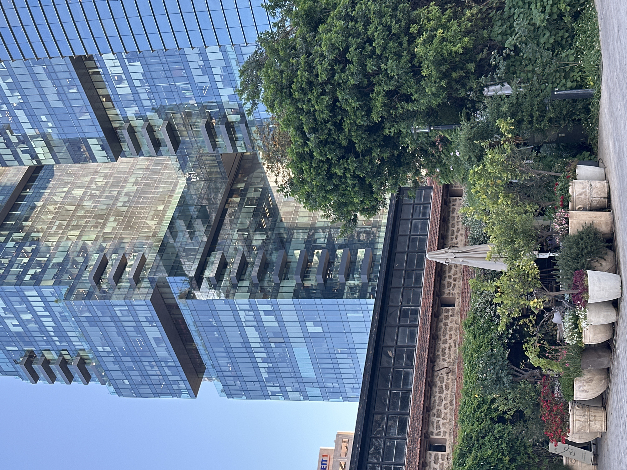 The image shows a juxtaposition of modern and old architecture in Tel-Aviv, Israel. On the left is a tall, modern skyscraper with a glass facade, reflecting the blue sky. Adjacent to the skyscraper, on the right, is a lower, older building with brickwork and windows. A canopy is visible near this building. Green foliage, including bushes and potted plants, runs along the right edge of the frame, softening the contrast between the buildings. The image is taken from a ground-level perspective, looking up at the buildings.