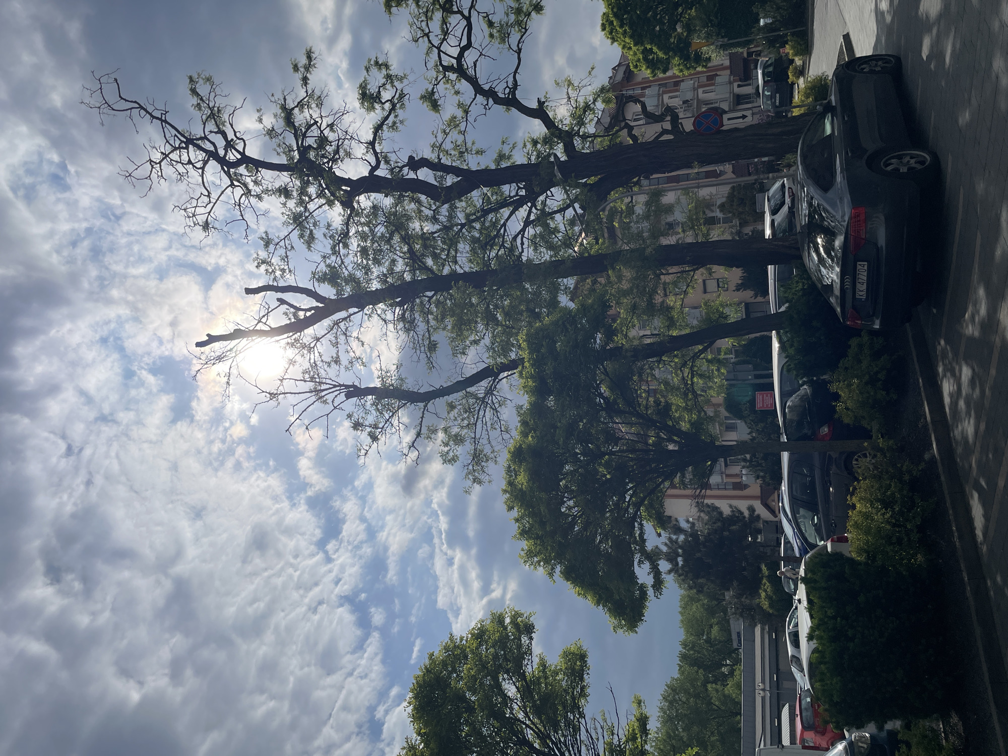 The image shows a street scene in an unidentified city. Several parked cars are lined up along the right side of the frame, partially obscured by trees and shrubbery. Beyond the cars, buildings are visible, suggesting an urban or suburban setting. The sky is filled with scattered clouds, with the sun appearing to shine through the clouds. The trees are predominantly bare branches, with some foliage. The street is gray, with some shadows and pavement markings. The image captures a typical street scene on a cloudy day.