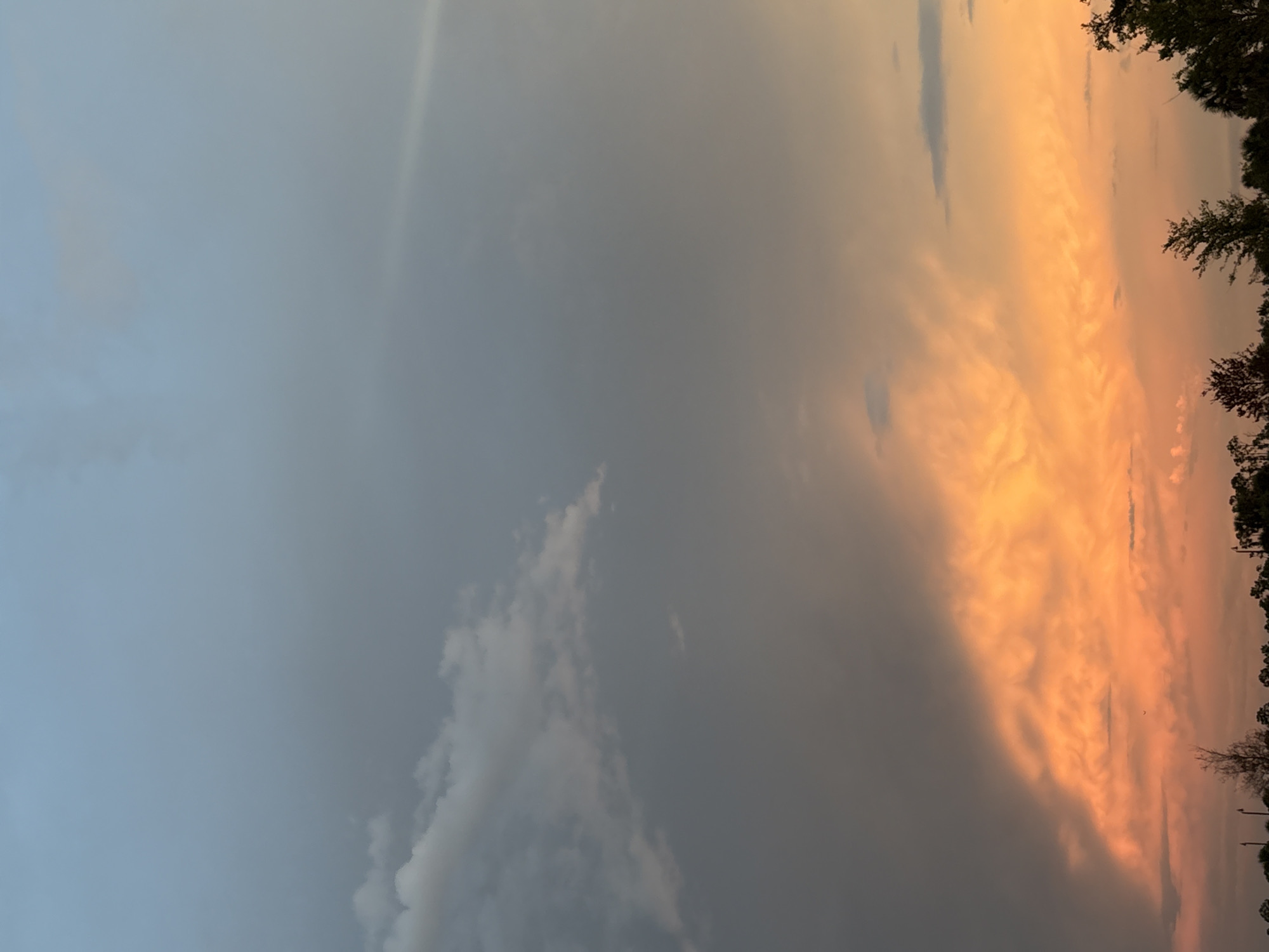 The image captures a dramatic sky over the city of North Port, Florida, United States of America. The upper portion of the frame is dominated by a soft, pale blue sky transitioning into a gradient of grey and muted tones where clouds gather. Towards the bottom of the sky, a vibrant band of orange and yellow clouds is illuminated, suggesting either sunrise or sunset. These fiery clouds are textured and dynamic, contrasting sharply with the cooler, darker clouds above. The horizon line is visible at the very bottom of the image, showcasing a silhouetted treeline composed of various trees and foliage, indicative of a natural or parkland setting within North Port. A few small, dark figures of what appear to be birds are visible against the bright clouds. The overall scene is one of natural beauty, highlighting the atmospheric conditions of the sky.