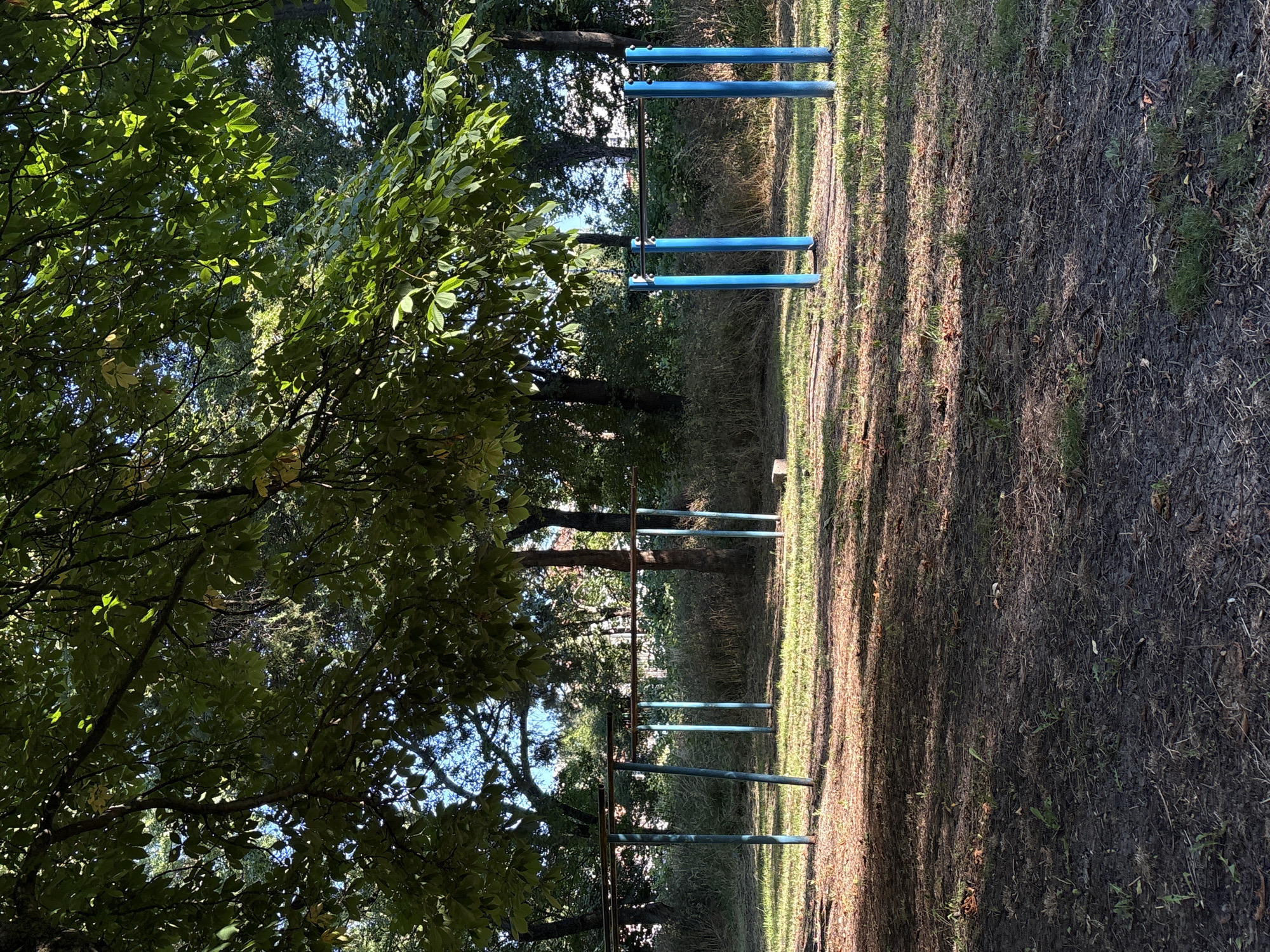 The image depicts an outdoor calisthenics park located in Provadia, Bulgaria. The scene is characterized by a cluster of horizontal bars supported by vertical metal poles, some painted blue and others appearing weathered and aged. These bars are set up on a patch of grassy ground, with areas of exposed dark soil and scattered dry leaves. Lush green trees with dense foliage dominate the upper portion of the frame, casting dappled shadows across the park. In the background, a line of trees and some buildings are visible, suggesting an urban or semi-urban setting. The lighting indicates a sunny day, with sunlight filtering through the leaves and highlighting certain areas of the ground. There are no people present in the image.