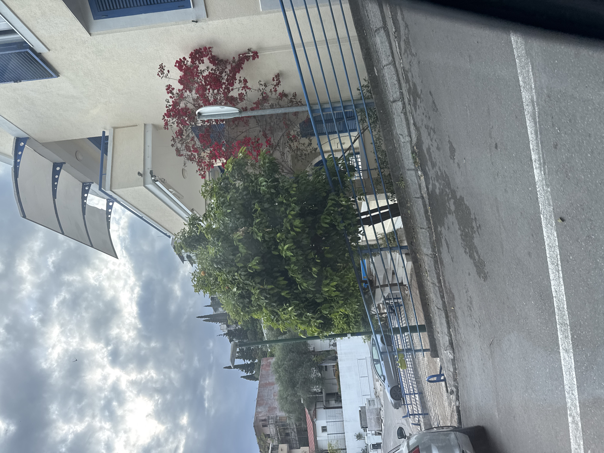 The image captures a street scene in Sveti Stefan, Montenegro, featuring a building facade with blue-shuttered windows, a white awning, and red flowering vines climbing the wall. A street lamp is positioned near a blue metal fence. A tree with green foliage partially obscures the view of other buildings in the distance. A gray road with a white line marking is adjacent to the fence, and parked cars are visible. The sky is overcast with gray clouds.