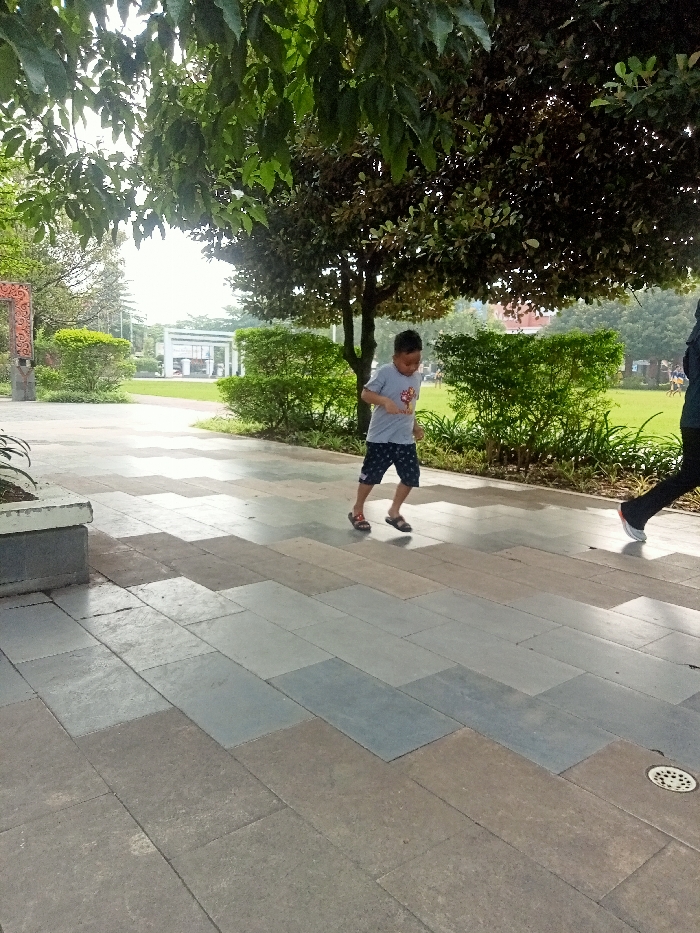 Memory