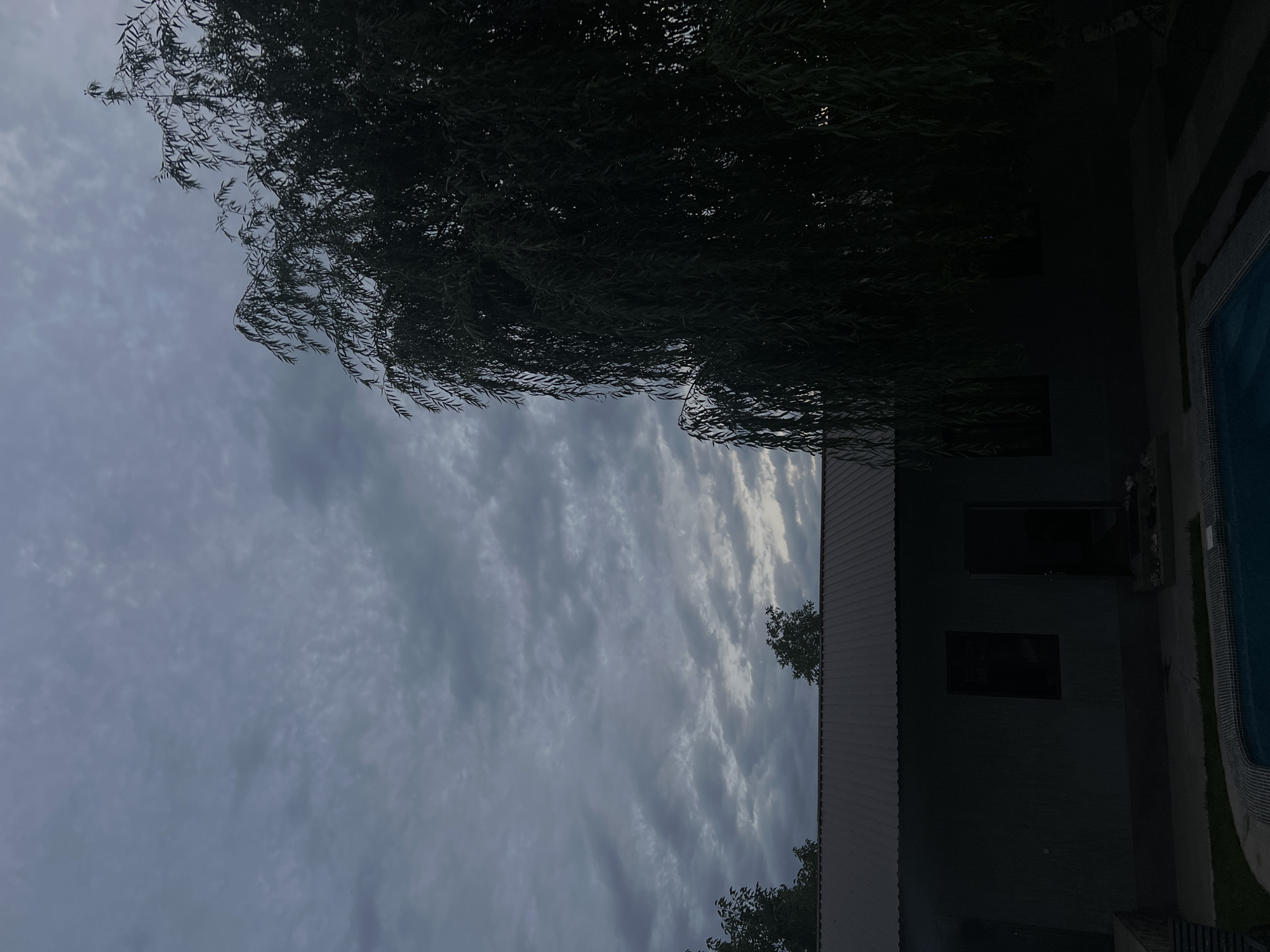 This is an outdoor, eye-level, medium shot photograph taken during twilight in Yusuphana, Uzbekistan. The image features a dark, overcast sky with scattered clouds. In the foreground, a portion of a swimming pool with a tiled edge is visible. To the left, a dark-colored building with a corrugated metal roof is partially illuminated. A large, dark silhouette of a weeping willow tree dominates the right side of the frame, its branches hanging down. The overall lighting is dim, characteristic of dusk. No people or animals are present in the scene.