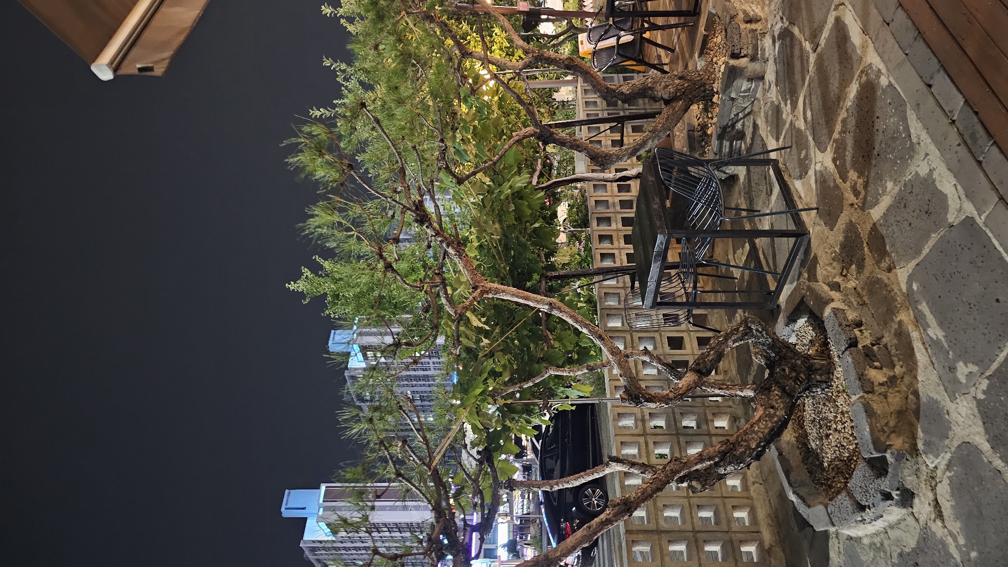 This image depicts an outdoor seating area at night, likely in the city of Asan-si, South Korea. In the foreground, there is a paved patio area with large, irregular stone slabs. A low, circular planter made of rough stones encloses the base of a gnarled tree with sparse foliage. To the right of this tree, a dark metal square table is set with several matching metal chairs. The table and chairs are situated on the stone patio.
Behind the seating area, a decorative wall constructed of hollow concrete blocks creates a partition. Beyond this wall, a black car is parked on a street. In the background, the night sky is visible, with the illuminated facades of several multi-story buildings suggesting an urban environment. The lighting in the scene is artificial, casting shadows and highlighting the textures of the stone and trees. The overall impression is of a tranquil, albeit somewhat stark, outdoor dining or relaxation space within a city.