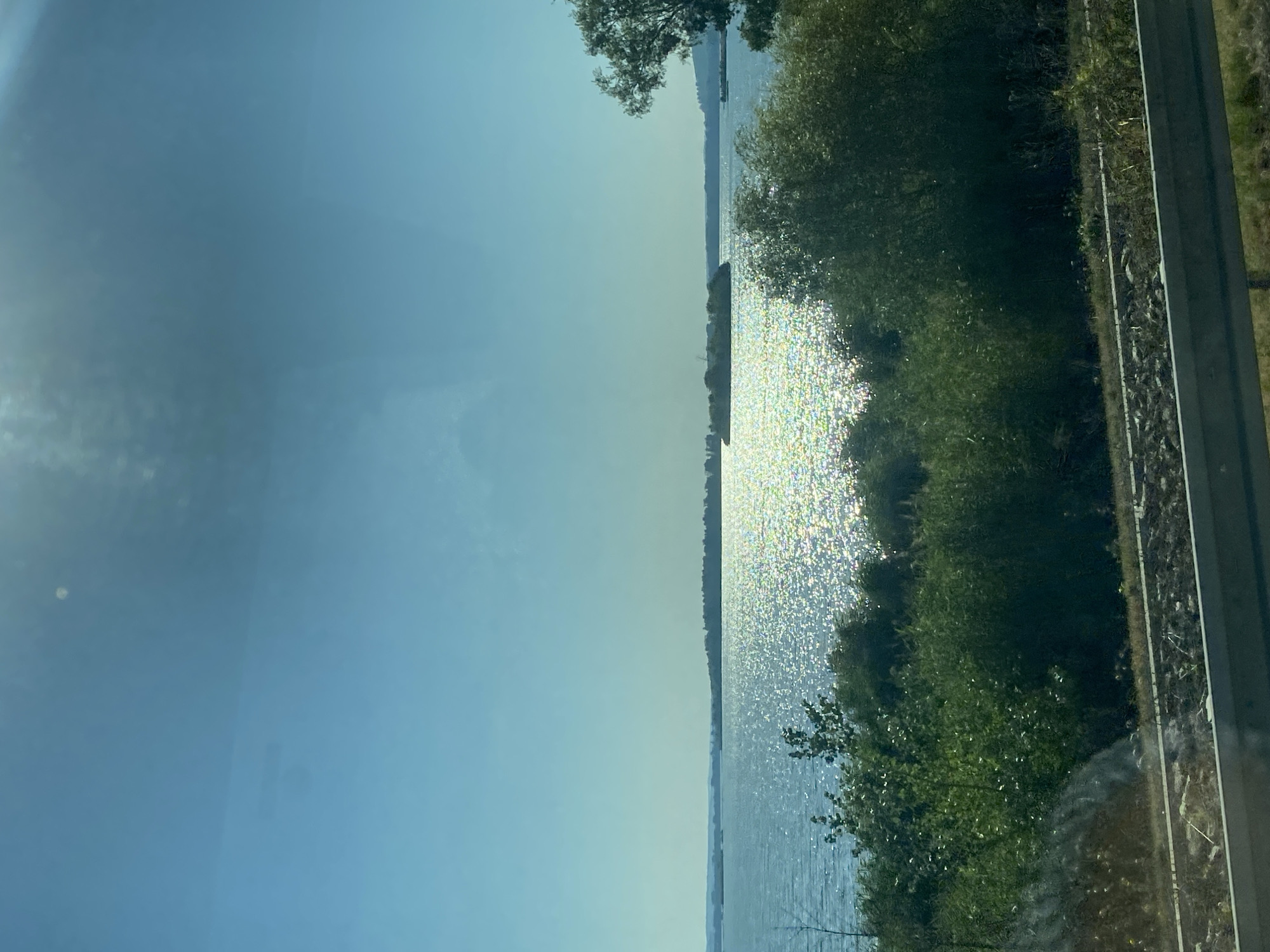 The image depicts a serene natural landscape with a wide body of water reflecting the sunlight, suggesting a sunny day. The water is calm with gentle ripples, and a small island or landmass is visible in the distance. The foreground is dominated by lush green vegetation, including trees and bushes. A road or a railway track with a metal barrier is visible in the very bottom of the frame, indicating a man-made element within the natural setting. The sky is a clear blue with some faint cloud formations and a noticeable glare from the sun. The overall scene suggests a location in Pasohlávky, Czechia, known for its reservoirs and natural beauty, likely captured from a moving vehicle or a vantage point close to the water.