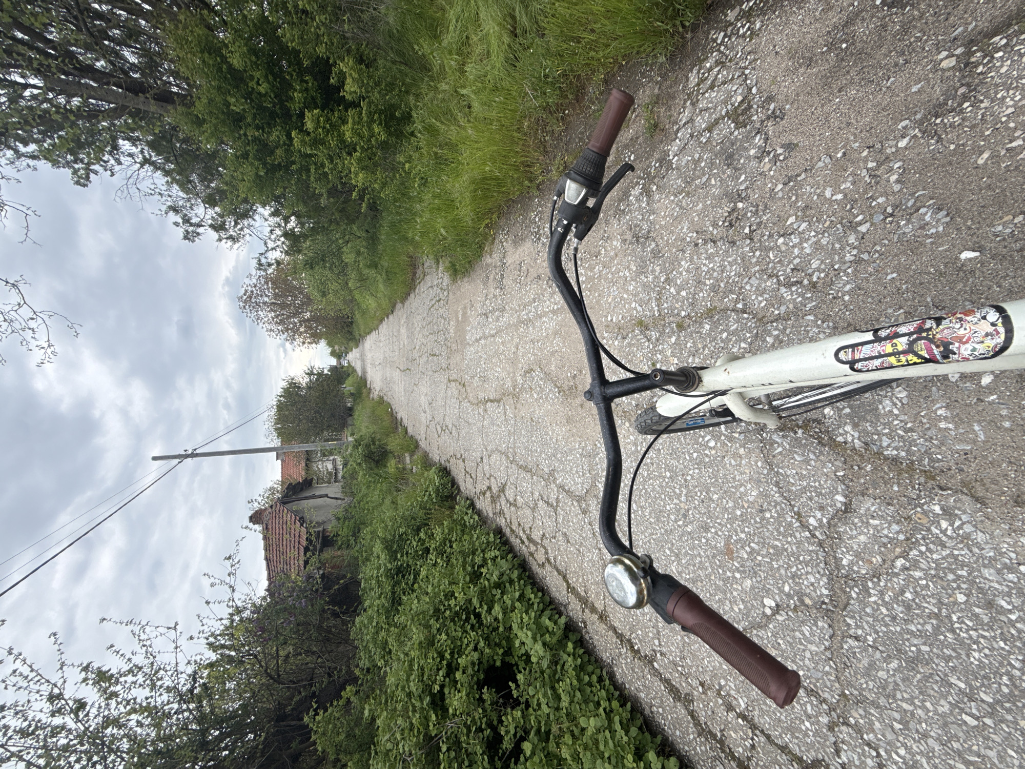 The image presents a first-person perspective from atop a bicycle, looking down a narrow, cracked asphalt or concrete path that recedes into the distance. The path is bordered on both sides by dense, lush green vegetation, including tall grass, various bushes, and trees with full foliage.
In the foreground, the black handlebars of a white bicycle are visible, equipped with brown grips. A silver bell is mounted on the right handlebar. The white top tube of the bicycle is decorated with several colorful stickers featuring cartoonish designs and indistinct text, with one prominent yellow sticker.
The sky is uniformly overcast with gray clouds, indicating a cloudy daytime. To the left of the path in the middle distance, a utility pole with wires stands, and beyond it, partially obscured by greenery, is an old, weathered house with a red-tiled roof and crumbling walls.
The scene suggests a bicycle ride through a quiet, possibly rural or semi-rural area in Generalovo, Bulgaria. The cracked path and aged house contribute to a rustic atmosphere. No people are visible in the image.