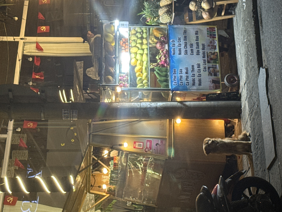 This nighttime scene in Ngũ Hành Sơn Ward, Vietnam, depicts a vibrant street vendor area illuminated by artificial lights. In the mid-ground, a golden-brown dog with medium-length fur sits attentively on the concrete sidewalk, facing right. To its left, partially visible, is the rear wheel and fender of a dark motorcycle. A utility pole stands centrally, bearing white numerical markings "605 20 35" and "533 332". To the left of the pole, a vendor stand with translucent panels and internal lighting is present, featuring a vertical banner with a QR code. To the right of the pole, a brightly lit, two-tiered mobile fruit stall displays various fruits including yellow and green mangoes, green bananas, and pink dragon fruit. A blue and white sign below the fruit display lists beverages in Vietnamese. Behind the fruit stall, a person wearing a dark hat and light-colored top is seen lying or leaning on the top of the stall. To the far right, pineapples and coconuts are stacked on a wooden stand. The background reveals building structures and numerous red bunting flags adorned with a yellow hammer and sickle emblem. Decorative spiral string lights and bare bulb string lights provide additional illumination to the entire street market setting.