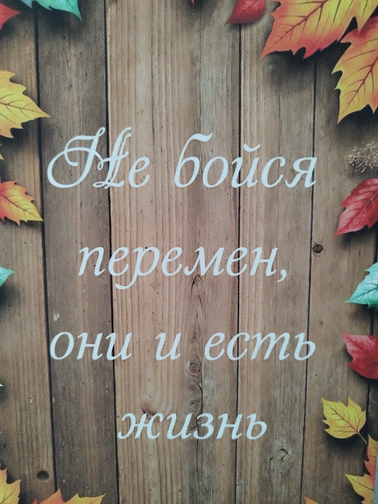 The image is a close-up of a canvas print with a rustic wooden background. The canvas is decorated with a border of autumn leaves in various colors, including red, yellow, and orange. The leaves are stylized and appear to be printed onto the canvas.
There is text printed in white, cursive font on the wooden background. The text reads: "Не бойся перемен, они и есть жизнь" which translates to "Don't be afraid of changes, they are life itself."
The overall mood of the image is warm and reflective, likely intended to be inspirational. The autumn leaves suggest a theme of transition and the cyclical nature of life. The wooden background adds to the rustic and natural feel. No people are visible in the image. The time of day and weather are not discernible. The location context provided is Skadovsk, Ukraine, but there are no visual cues within the image to confirm this location.