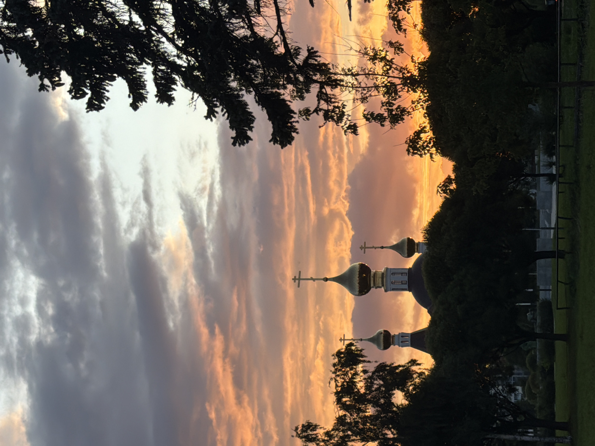 The image captures a dramatic sunset over the city of Saint Petersburg, Russia. In the foreground, silhouetted trees and a grassy lawn create a dark, shadowed foreground. Beyond the trees, the iconic golden domes of a Russian Orthodox church, likely part of a monastery or cathedral, rise against the vibrant sky. The sky itself is a spectacle of color, with streaks of fiery orange, pink, and deep purple clouds illuminated by the setting sun. The overall impression is one of grandeur and spiritual serenity, enhanced by the natural beauty of the twilight sky.