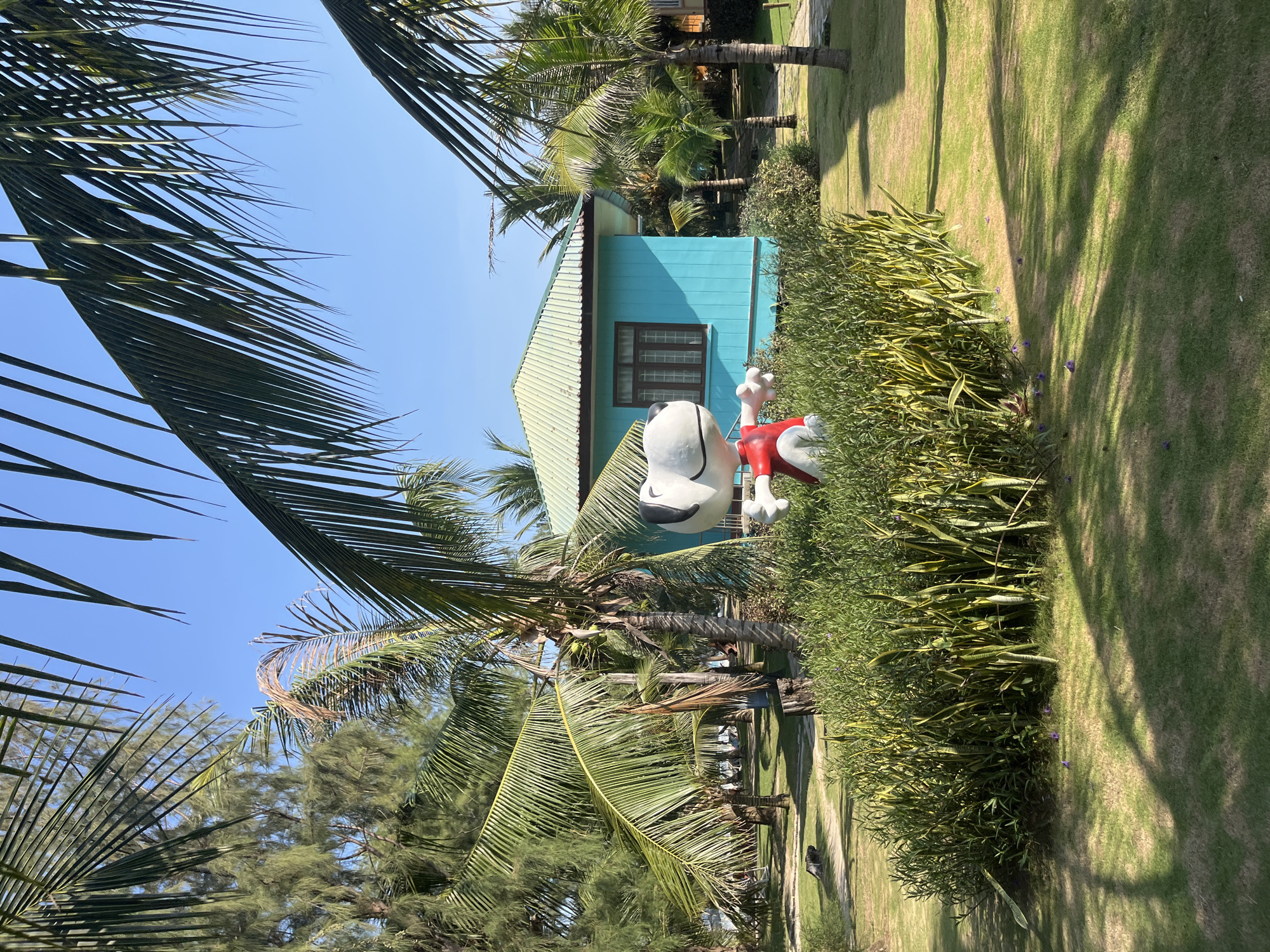 In Dong Ninh Hoa Ward, Vietnam, a bright turquoise-colored house with a green corrugated metal roof sits amidst lush greenery and palm trees. A statue of Snoopy, wearing a red shirt, stands in the foreground, partially obscured by a dense cluster of plants. The sky is a clear, vibrant blue. The scene appears to be a resort or residential area, characterized by well-maintained landscaping and tropical vegetation. The lighting suggests it is daytime, with shadows cast by the palm fronds onto the grassy lawn.