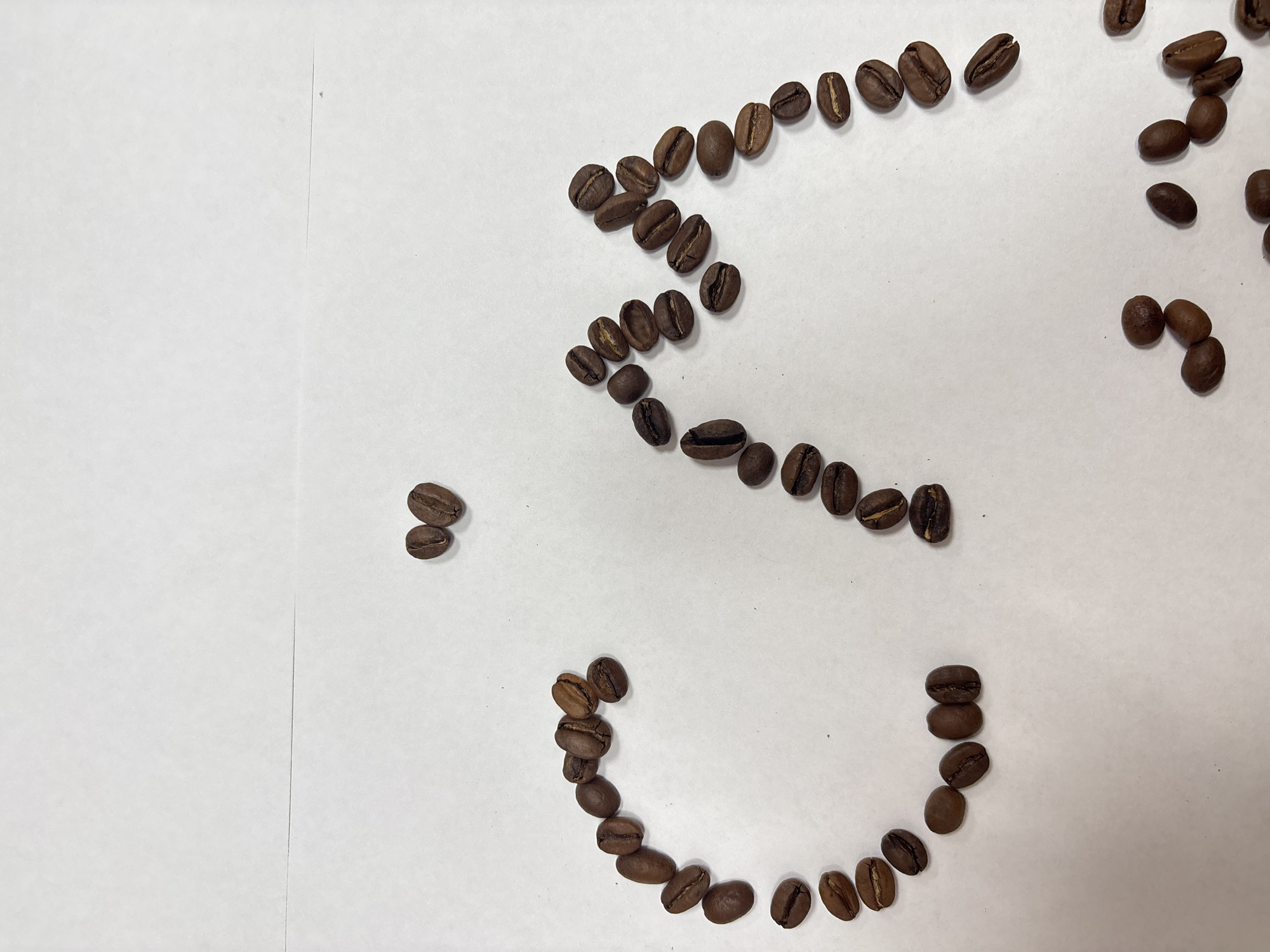 The image presents an overhead view of numerous dark brown roasted coffee beans arranged on a light-colored, uniform background, likely a white paper or tabletop surface. The coffee beans are meticulously placed to form the Cyrillic letter "З" (Ze). This letter's shape is constructed from a sequence of individual beans, forming a distinct outline.
The main "З" character begins in the upper right, sweeps down to the left, then curves back towards the right, and concludes with a smaller, rounded section at the bottom. The characteristic central groove of each coffee bean is visible. To the left of the main formation, two coffee beans are vertically stacked. Additional scattered coffee beans are visible; a small cluster of five beans is positioned towards the upper right, and another group of three beans is on the far right side of the frame. A faint vertical line or seam, possibly indicating a fold in paper or a joint between surfaces, runs vertically through the middle of the light background. The scene is set indoors, with no people, other objects, or visible text present. The arrangement of the coffee beans suggests a deliberate creative display.