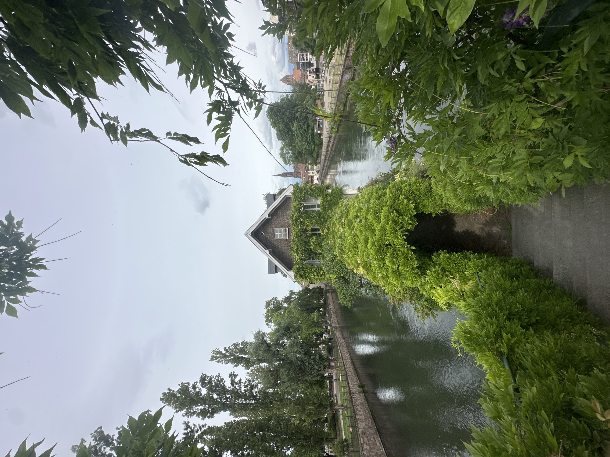 A wide-angle vertical shot captures a serene canal scene in Strasbourg, France. The canal, a placid waterway, is lined with lush green foliage and stone embankments. On the right, a charming brick house is almost completely enveloped by climbing greenery, with a prominent arched entryway formed by the overgrowth. The house has white-framed windows. In the foreground, a set of concrete stairs descends towards the arched entrance, flanked by abundant green bushes and trailing vines. Further down the canal, on the left bank, tall trees provide shade to a park-like area with people relaxing on the grass. In the distance, the city's skyline features architectural elements, including church spires and buildings. The sky above is overcast with soft clouds.