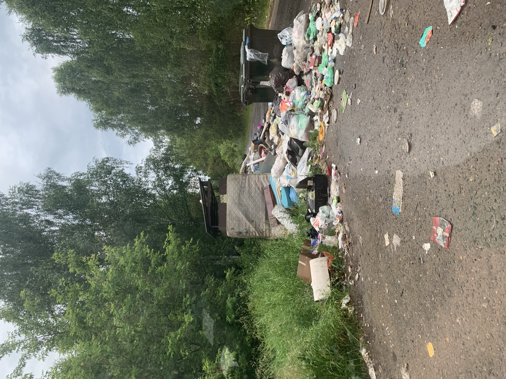 In Krutets, Russia, the image depicts a roadside scene heavily littered with various forms of refuse. In the foreground, the asphalt road is strewn with plastic bags, bottles, paper packaging, and food containers, suggesting a significant amount of carelessly discarded waste. Further back, near a grassy verge, a large mattress lies on its side, alongside overflowing trash bags and scattered debris. Adjacent to this pile of garbage are two large, dark green refuse bins, one of which appears to be open and partially obscured by plastic sheeting. Behind the bins, a dirt road recedes into the background, bordered by dense green trees. The sky is overcast, contributing to a somber atmosphere. The scene as a whole conveys a sense of neglect and environmental pollution.