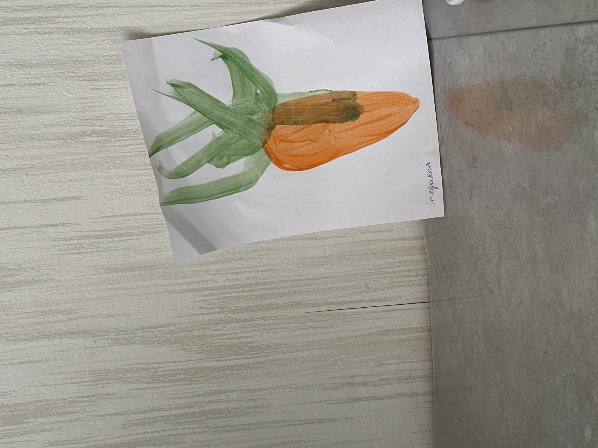 A child's drawing of a carrot is taped to a wall. The carrot is painted in orange and brown, with green leaves. The name "Стефания" (Stefania) is written in Russian next to the drawing. The wall is composed of two different materials: a gray tile and a beige wood-textured surface. The location is presumed to be Chaikovsky, Russia, due to the Russian language used in the name.