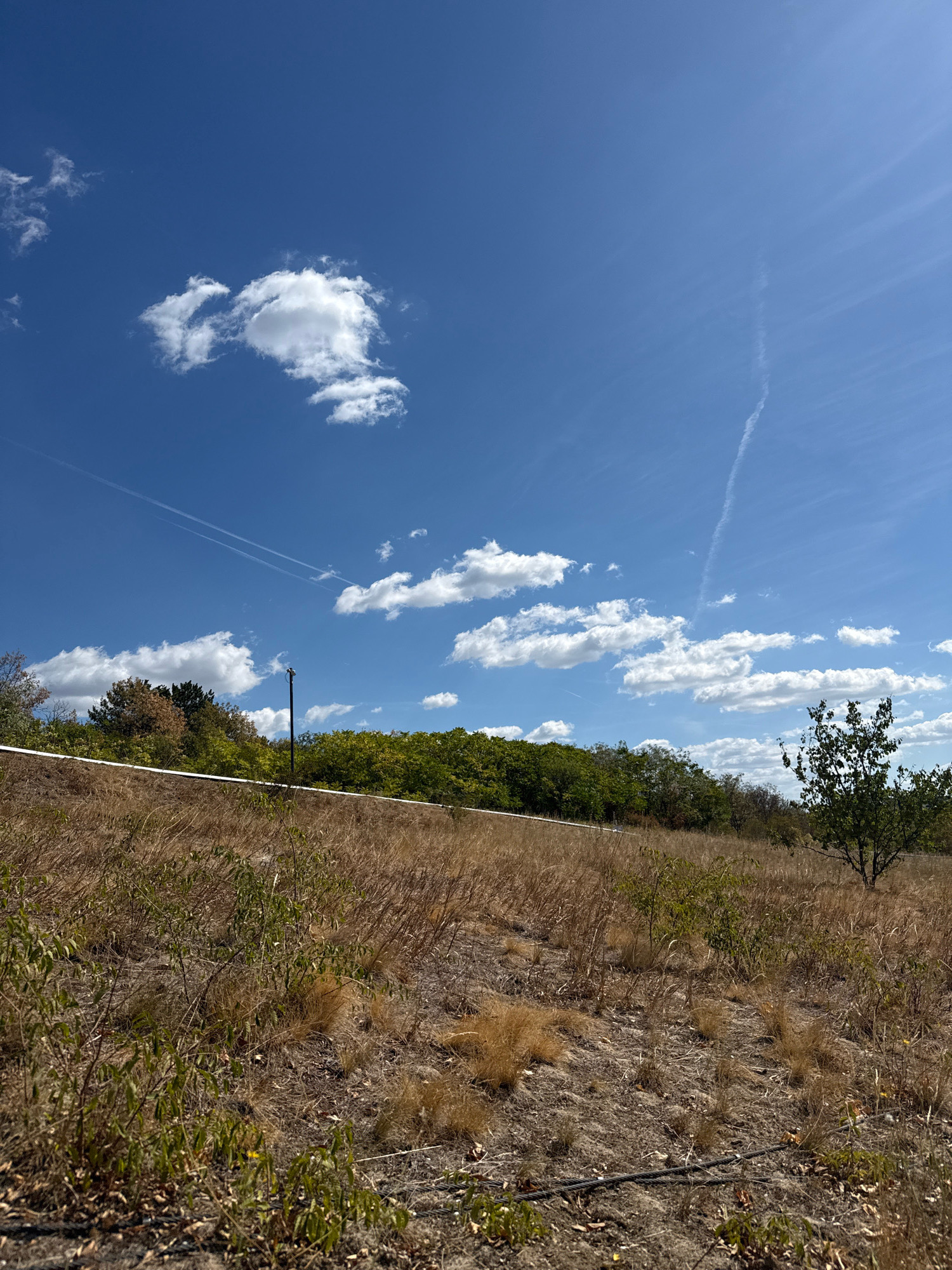 The image depicts a dry, grassy hillside under a bright blue sky with scattered white clouds and contrails from an aircraft. In the middle ground, a dense line of trees forms a green and brown backdrop, with a white line running horizontally across the hillside in front of them. A dark pole with a light fixture is visible amongst the trees. On the right side of the image, a lone, sparsely leafed tree stands on the hillside. The foreground is characterized by dry grass, sparse green vegetation, and dark earth with some visible cables. The scene suggests an outdoor, undeveloped area, possibly on the outskirts of a city. While the image does not provide specific landmarks to pinpoint its exact location within Budapest, Hungary, it is consistent with the natural topography found in some of its hilly or park-like districts.