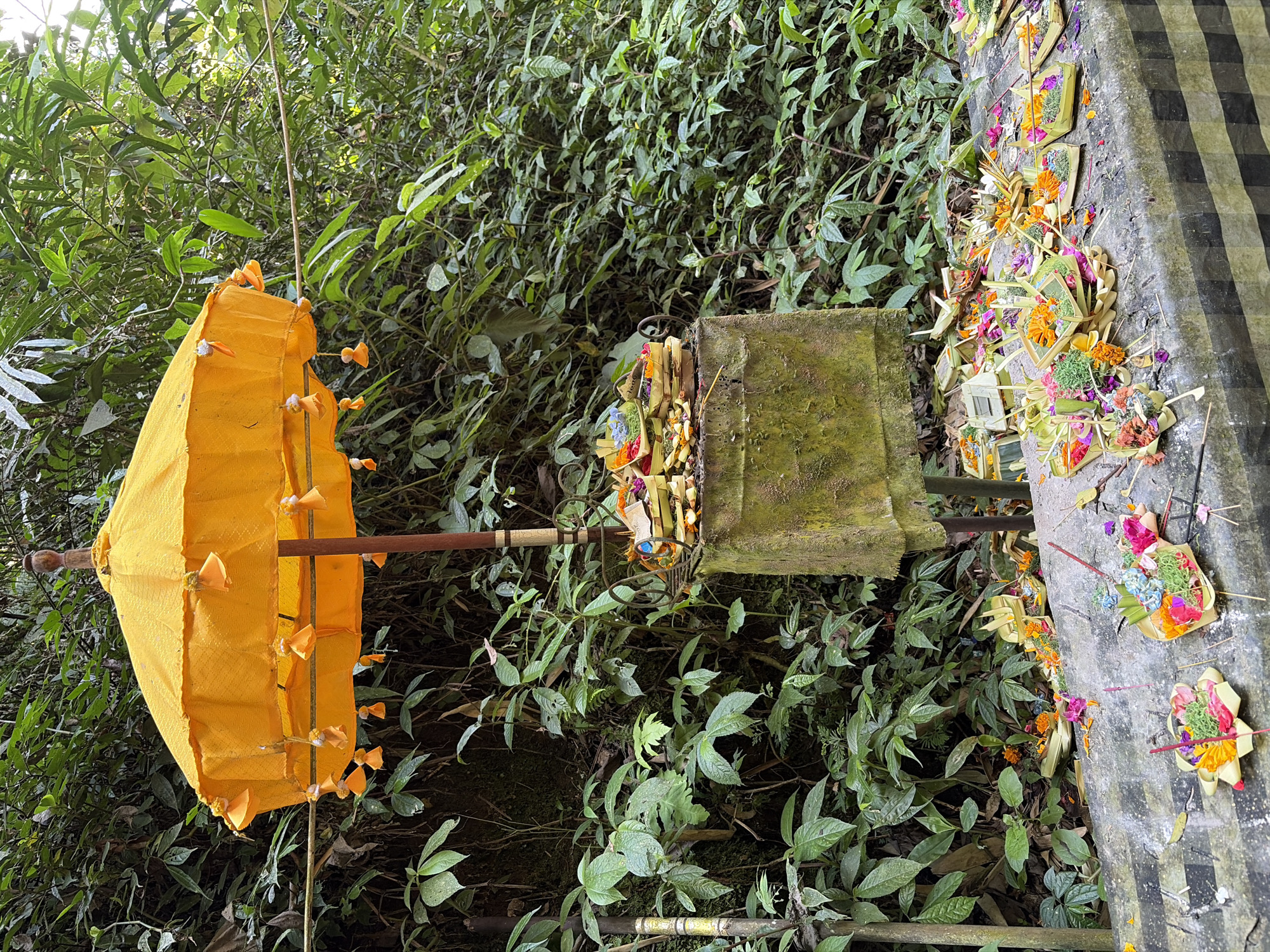 In Tegallalang, Indonesia, this image captures a serene scene at a natural site, possibly a temple or a spiritual location surrounded by lush, dense foliage. A prominent bright yellow umbrella, adorned with tassels, is erected over a moss-covered stone structure. The structure itself is laden with offerings, which appear to be small, intricately woven baskets filled with flowers and other natural materials. These offerings are also scattered across a stone ledge in the foreground, which is draped with a black and white checkered cloth. The offerings are diverse, featuring various colored flowers like orange marigolds, pink and purple blooms, and green moss-like elements, often accompanied by thin incense sticks. The backdrop is dominated by the vibrant green of tropical plants and trees, suggesting a humid and verdant environment. The overall impression is one of a spiritual or cultural practice taking place in a natural, secluded setting.