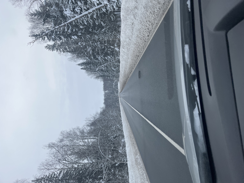 The scene, identified as being in Butyrki, Russia, portrays a two-lane asphalt road extending into the distance through a snow-covered forest under an overcast sky. The perspective is from within a vehicle, looking forward over a dark dashboard with a thin layer of snow resting on the windshield's lower edge. The dark grey road surface, appearing wet or clear of snow, features a continuous white line marking its center. A distinct dark, irregular patch or pothole is observed in the right lane in the mid-ground. Accumulations of dirty snow form banks along both edges of the road. Dense forest flanks both sides of the road; the trees, primarily evergreens mixed with some bare deciduous specimens, are heavily laden with white snow. Several tree branches, particularly on the left, are bent significantly downward under the weight of the snow, and multiple coniferous trees on the right are noticeably leaning towards the roadway. The sky is a uniform, light grey, indicating an overcast condition. No individuals or additional vehicles are present within the visible frame.