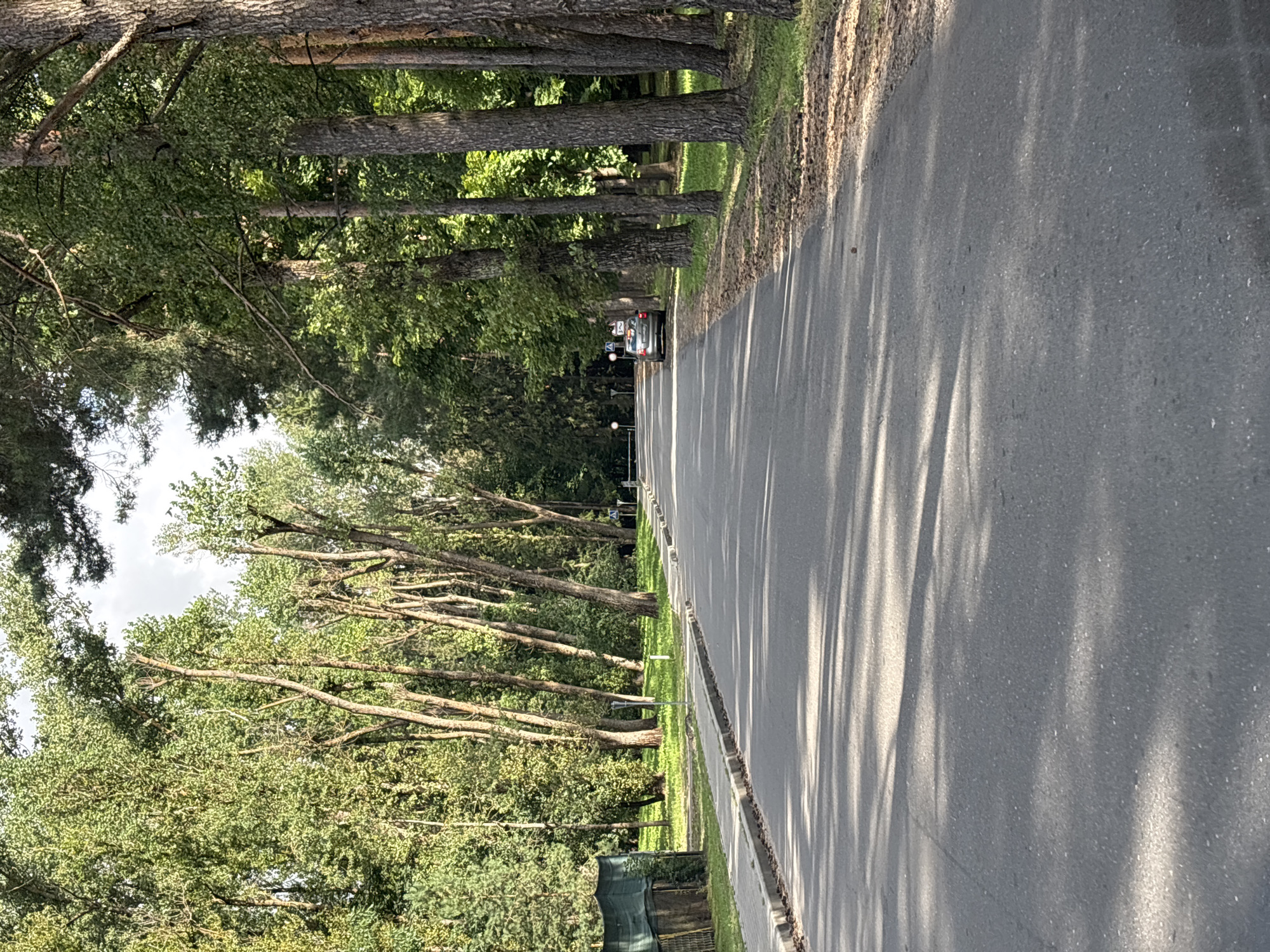 The image depicts a paved road lined with tall trees on both sides, casting long shadows across the asphalt. The road curves slightly to the left as it recedes into the distance. On the left side of the road, a sidewalk is visible, bordered by a grassy area and a green fence. On the right side, the trees are denser, with thick trunks and green foliage. A silver car is parked on the right shoulder of the road. In the distance, at the end of the road, there appears to be a gate or barrier with some white posts. The sky above is partly cloudy. The scene is consistent with a park or a tree-lined street in a suburban or rural area. The location is specified as Zhdanovichi Village Council, Belarus.