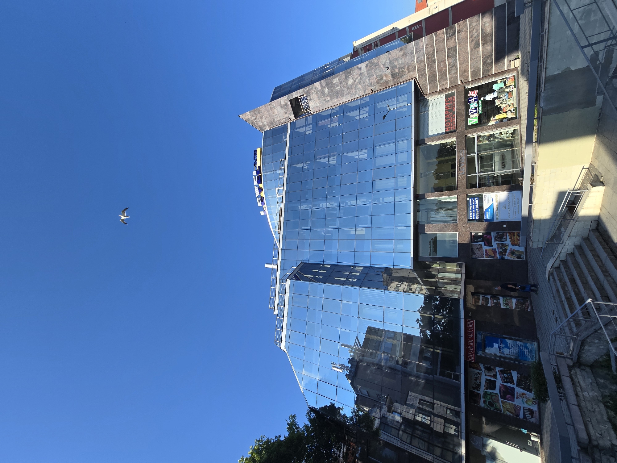 The image shows a modern, glass-fronted building in Plovdiv, Bulgaria. The building features a unique, angular design with large glass panels that reflect the bright blue sky and surrounding structures. A single seagull is captured in mid-flight against the sky. On the ground level, there are several storefronts. One prominent sign reads "КИТАЙСКИ МАГАЗИН" (Chinese Store) in Cyrillic. Another sign displays "VIVIASE WOMEN'S WEAR." A person is visible standing in front of one of the shops. The building is situated on a street with a set of stairs leading down to a lower level. The overall scene suggests a commercial area within the city.