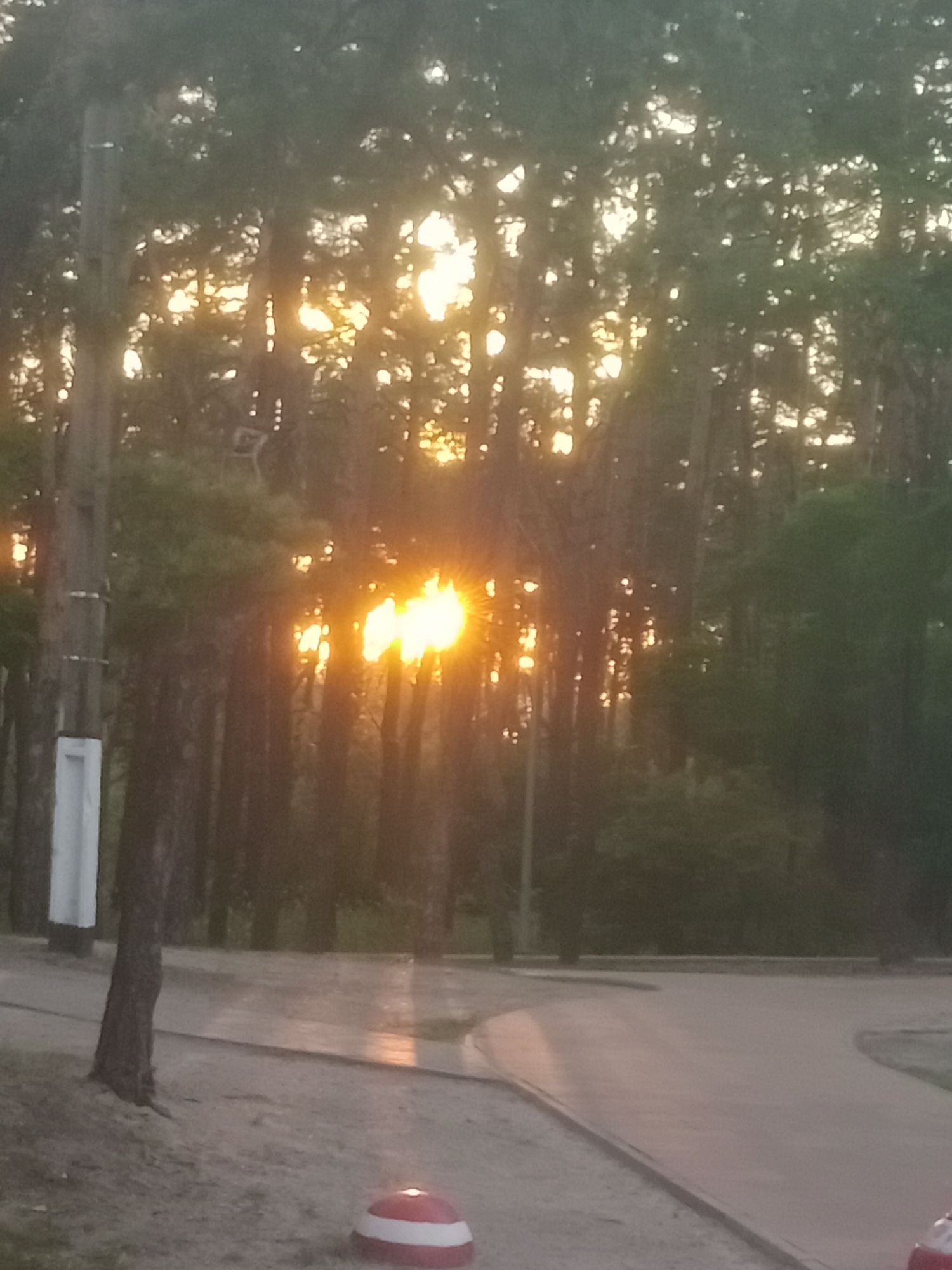 The image shows a park in the city of Horishni Plavni, Ukraine. The sun is setting, casting a warm glow through the trees. A paved path curves through the park, with a grassy area to the left. In the foreground, there is a red and white striped bollard. The overall scene is peaceful and serene.
