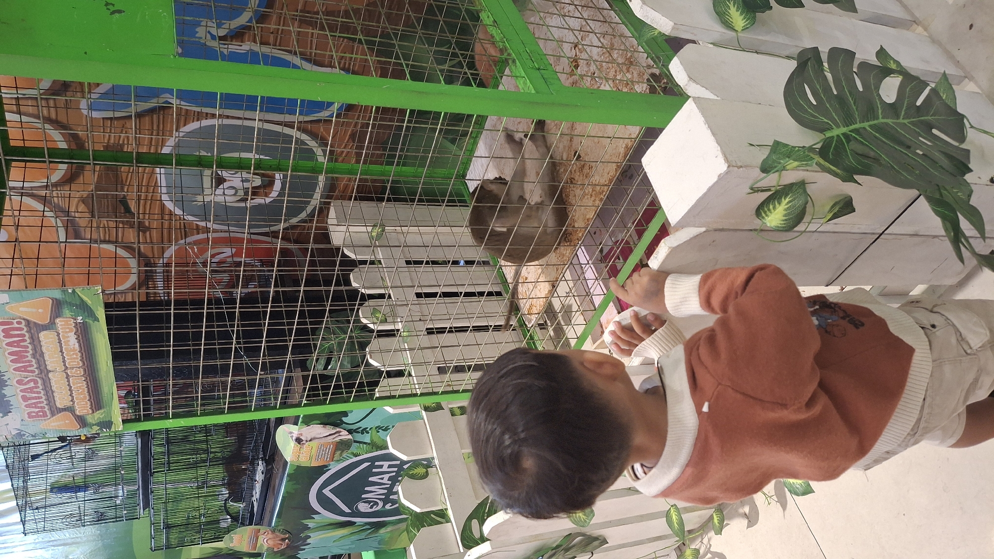 A young boy, viewed from the back, stands before an enclosure at what appears to be a zoo or animal exhibit. He is wearing a rust-colored long-sleeved shirt with a white collar and cuffs, and light-colored shorts. His hands are resting on a white picket fence, and he is looking into the enclosure.
Inside the enclosure, a monkey is visible, sitting on a floor covered with wood shavings or similar material. The enclosure is made of wire mesh and has a green metal frame. Behind the monkey, a wooden-patterned wall is visible with large, colorful circular graphics, possibly letters or decorative elements.
To the left of the monkey enclosure, there is another cage containing birds. Above the cages, a sign with text and graphics is displayed, indicating rules or information about the exhibit. One part of the sign has text in Indonesian, which translates to "WARNING! PLEASE DO NOT APPROACH AND TOUCH."
The environment appears to be indoors, possibly a public space like a shopping mall or a dedicated animal attraction. The overall lighting suggests an indoor setting. The fence in the foreground is decorated with artificial green leaves. The context suggests the location is in Kecamatan Pati, Indonesia, based on the provided information.