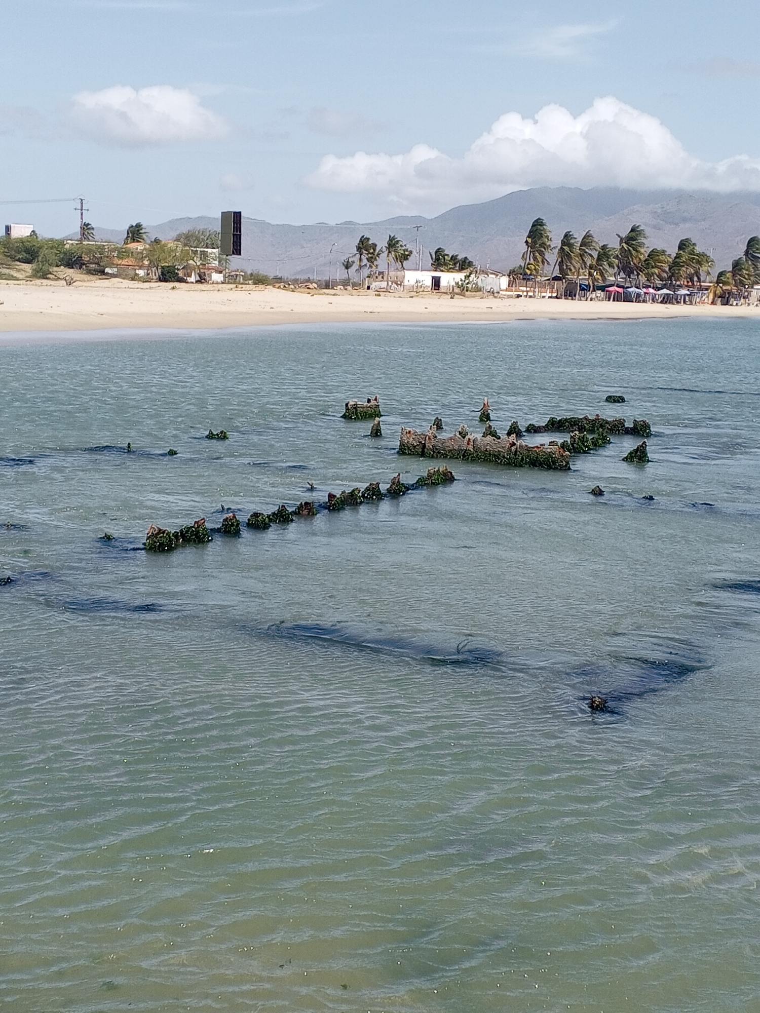 The image shows a coastal scene in Juan Griego, Venezuela. In the foreground is water, with the remains of a submerged structure or barrier, possibly a pier or breakwater. This structure is aligned in a broken line, with posts or segments covered in algae or marine growth. In the background, there is a sandy beach with scattered buildings, palm trees, and a few people. A mountain range is visible in the far distance. The sky is blue with scattered clouds. The scene is captured in daylight, with clear visibility.