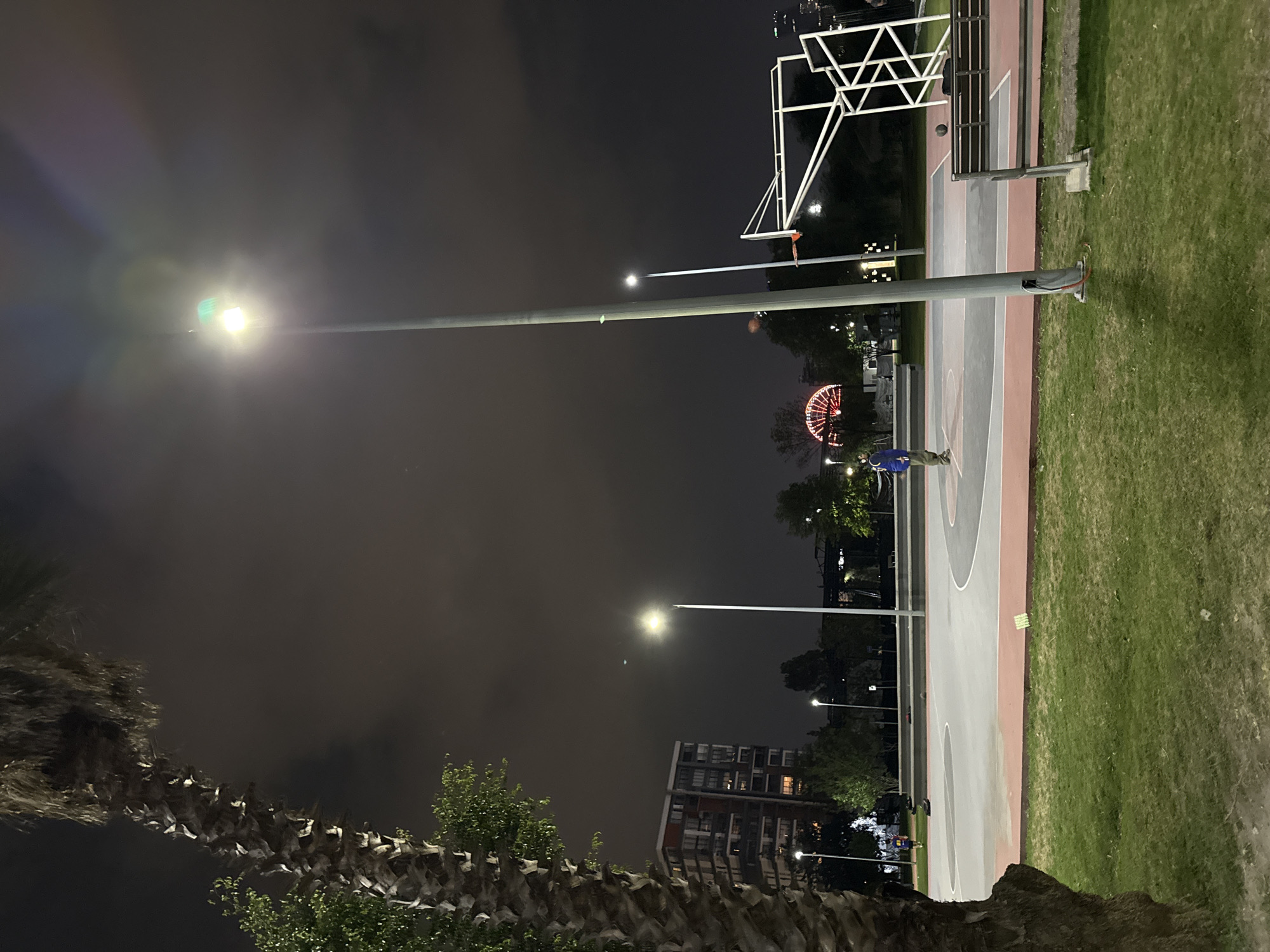 The image depicts a nighttime scene at a basketball court in what appears to be a park or recreational area. A tall palm tree is visible in the foreground, with the textured bark of the tree trunk taking up a significant portion of the lower left corner. Above and behind the tree, there is a dark sky, with a scattering of light from a streetlamp and some cloudy formations. The basketball court is situated to the right of the palm tree, illuminated by streetlights. One basketball hoop is in the right corner of the frame. A person in blue jacket, standing on the basketball court, is partially visible. In the distance, there's a building with lighted windows. Further in the background, a Ferris wheel with red lights can be discerned. The area is lit by a series of street lamps. The location is Puebla, Mexico.