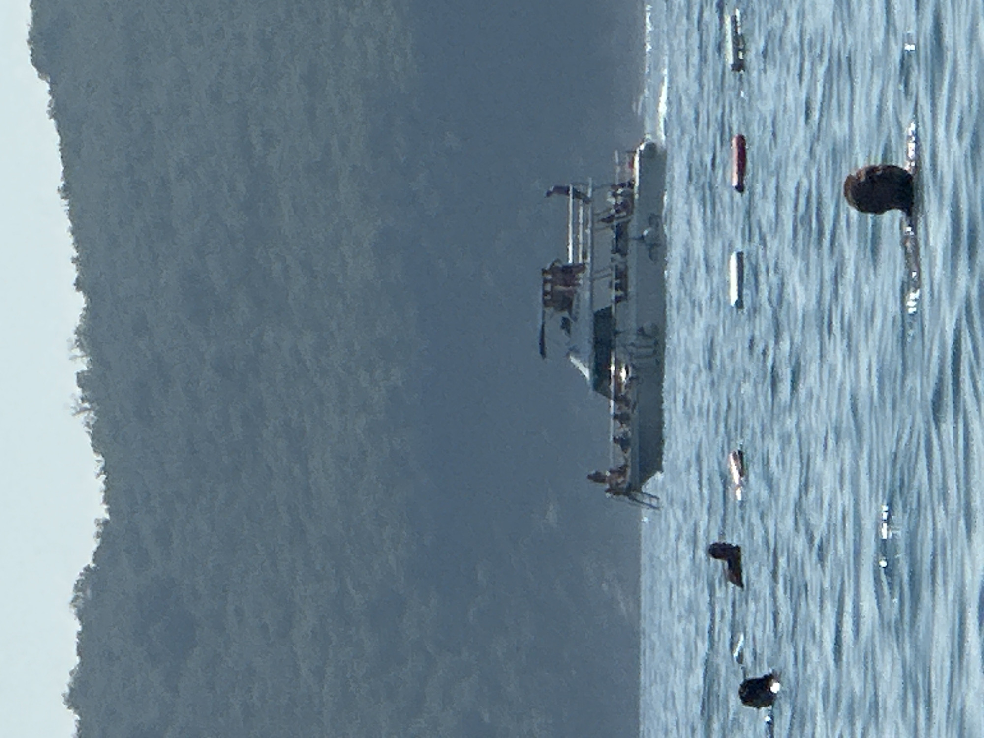 The image shows a body of water with several people swimming and a boat in the background. The water is blue and appears to be calm. There are several white objects floating on the water, possibly buoys or life rafts. In the distance, a large white boat with people on deck is visible. The background shows a lush green hillside, indicative of a coastal or mountainous region. The scene appears to be a recreational area, possibly a beach or a bay in Boreti, Montenegro.