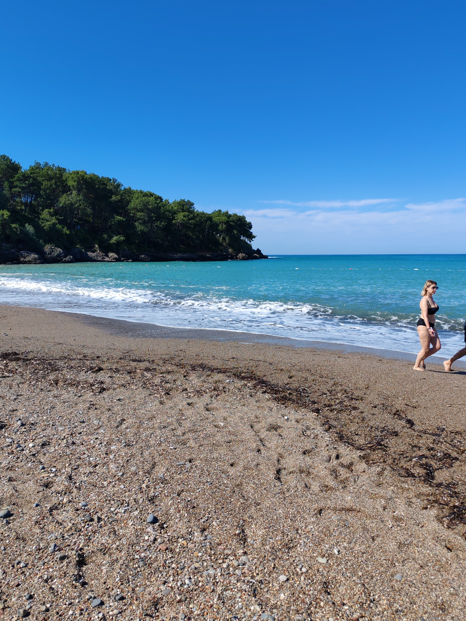The image depicts a beach scene in Alanya, Turkey, on a sunny day. The sky is clear blue. A line of trees grows along a rocky coastline, meeting the sandy beach. The water is a turquoise color, with gentle waves rolling towards the shore. In the foreground, a section of the pebble-strewn beach is visible with scattered seaweed. Two people are walking along the beach near the water’s edge. One person, likely a woman with short blonde hair, is wearing a black bikini and sunglasses. Only part of the second person is visible. The scene conveys a serene and relaxed atmosphere, typical of a seaside location.