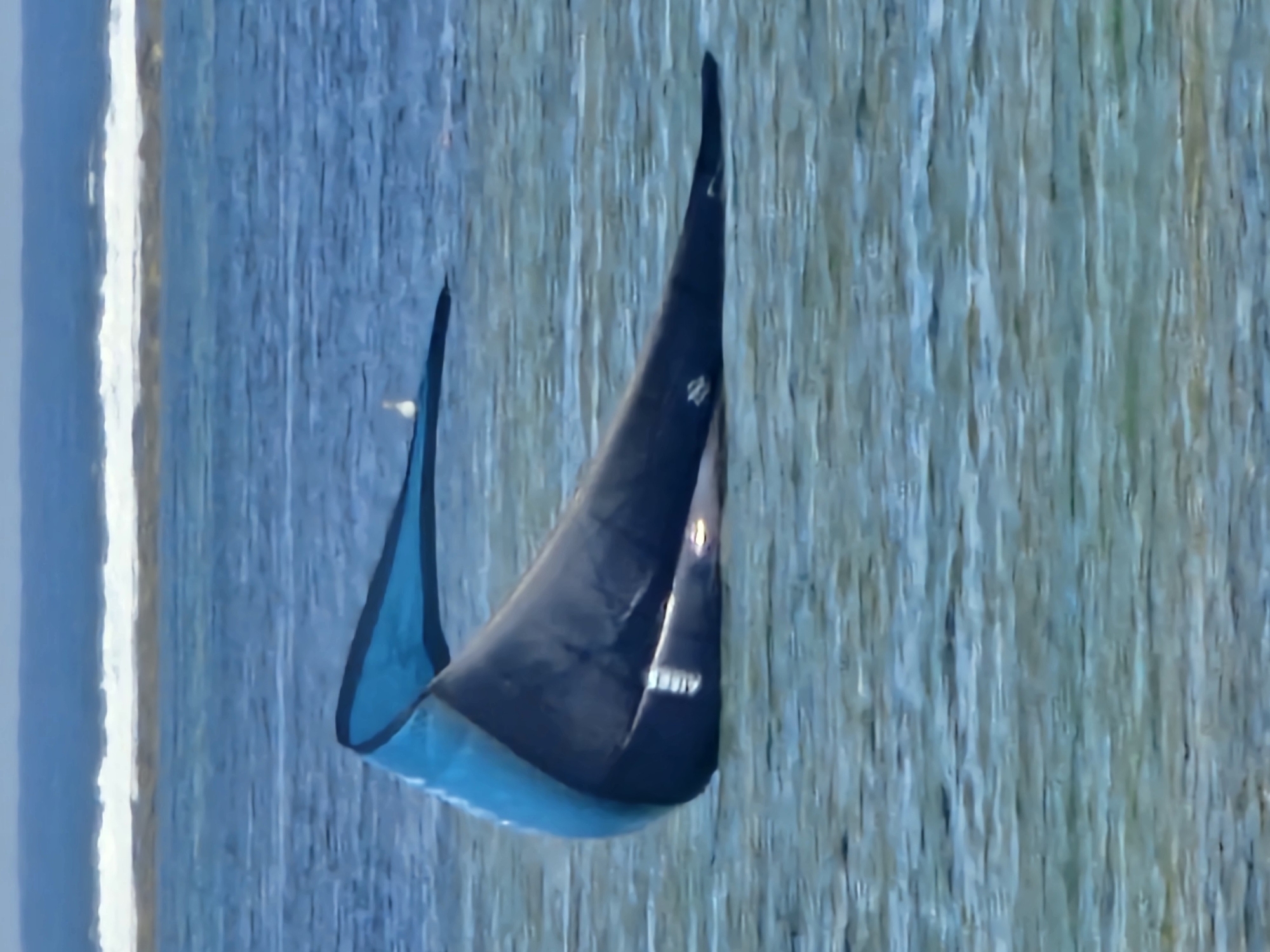 A dark blue and turquoise kite lies partially submerged in clear, shallow water. A small white bird stands on the kite. In the background, waves crash on a distant shore. The location is the coast of Denpasar, Indonesia.