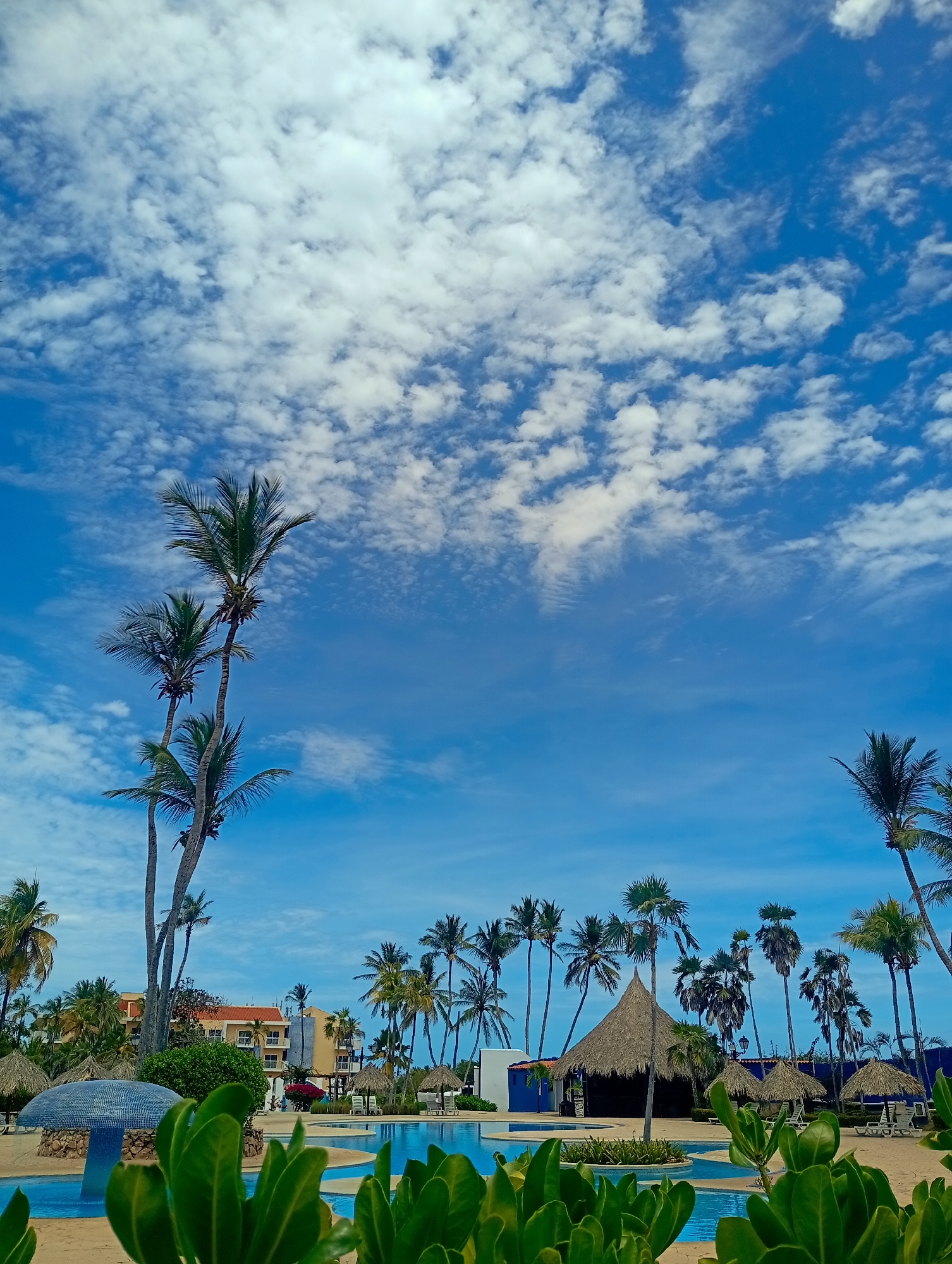 The image depicts a tropical resort scene, possibly in Playa El Agua, Venezuela, characterized by a swimming pool surrounded by palm trees and thatched-roof structures.
Environment: The sky is bright blue with scattered white clouds. Palm trees are a dominant feature of the landscape.
Objects: A multi-sectioned swimming pool, a tiled fountain structure, multiple thatched-roof umbrellas and a larger thatched-roof hut are visible. Additionally, lounge chairs are scattered around the pool area. A building with an orange roof is visible behind the palm trees.
No people are discernible in the image.