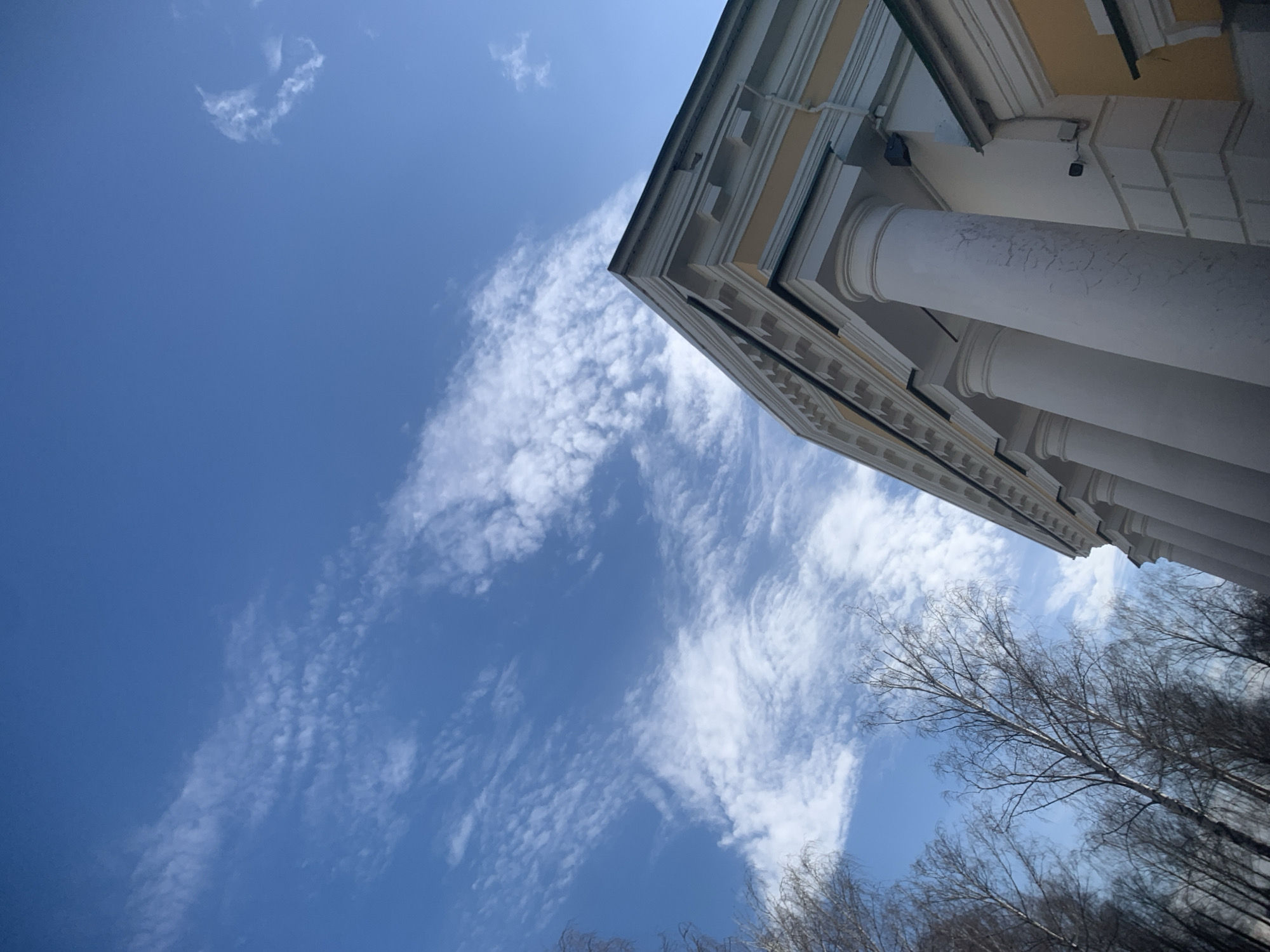 The image displays an upward-angled exterior view of a classical-style building located in Izhevsk, Russia, alongside bare trees, under a bright blue sky. The building's visible section features a light yellow facade with prominent white architectural elements. At least four large, white cylindrical columns are visible, supporting a white entablature adorned with dentil molding. These columns exhibit vertical streaks of discoloration and weathering. To the right of the columns, a dark security camera is mounted on the yellow wall, with a white vertical drainpipe also present. The top edge of the building shows a dark roofline against the sky. On the left side of the frame, several tall, slender deciduous trees stand leafless, their bare branches silhouetted against the sky, indicating late autumn, winter, or early spring conditions. The sky is a clear blue, populated by scattered, wispy white clouds across the upper portion of the frame. The scene is brightly illuminated by natural daylight. No individuals, animals, or discernible actions are present.
