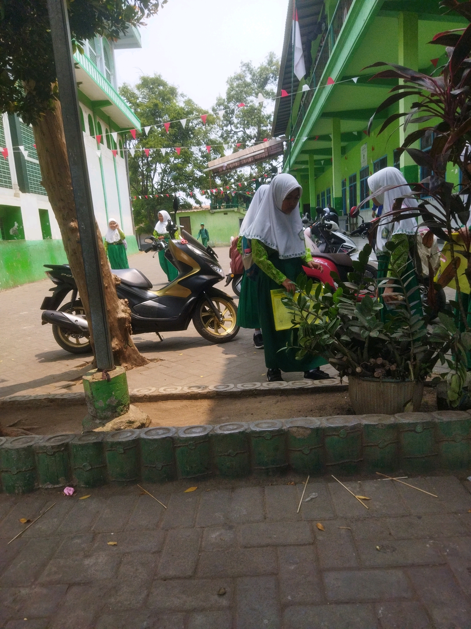 In Pasrepan, Indonesia, two female students wearing white hijabs and green uniforms are seen standing outdoors near a building with green and white trim. One student is holding a yellow folder and interacting with the other. Behind them, a black and gold motorcycle is parked next to a tree. The ground is paved with interlocking bricks, and a decorative green border runs along the edge of a sandy area. In the foreground, various plants are growing in a pot, and a few fallen leaves and twigs are scattered on the pavement. The building appears to be a school, with flags and decorative bunting visible along its facade. The sky is overcast.